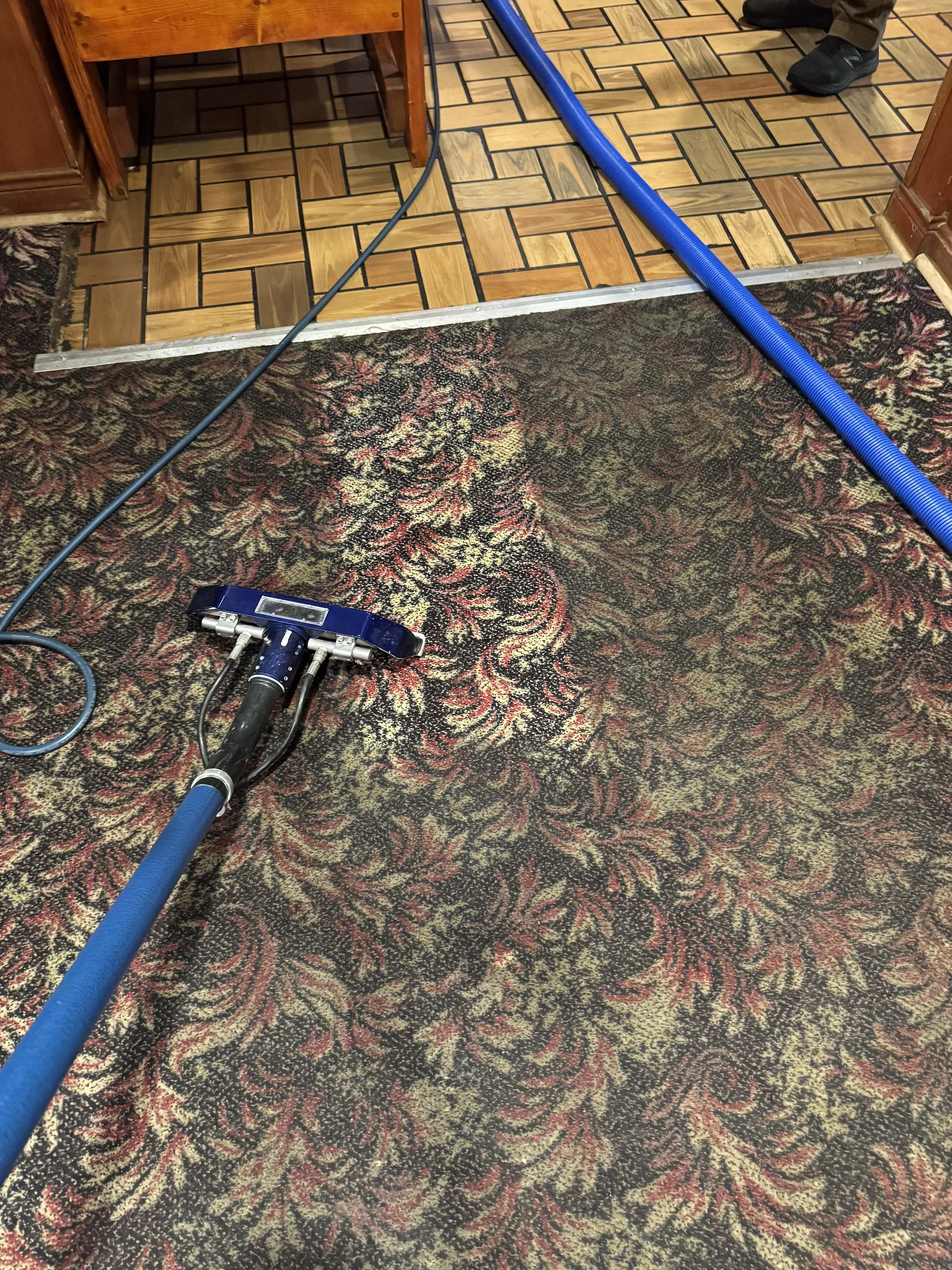 hot water extraction carpet cleaning, louisville carpet cleaning, louisville shampoo carpet