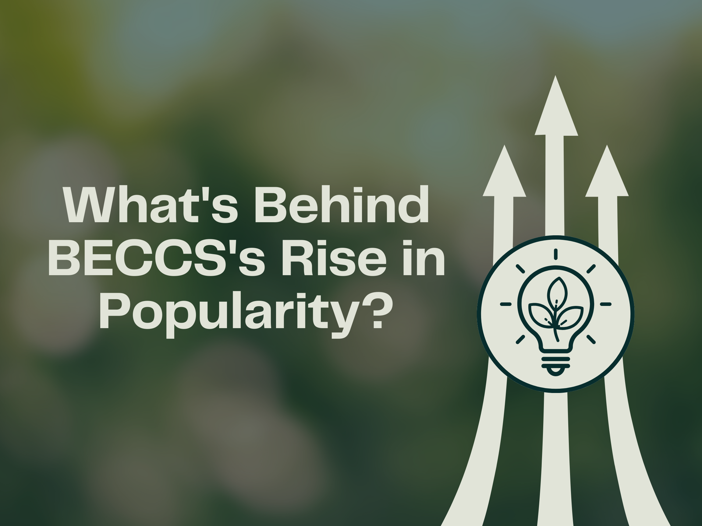 689f5bff38542f3f933c091b_What's behind BECCS's rise in popularity (1).png