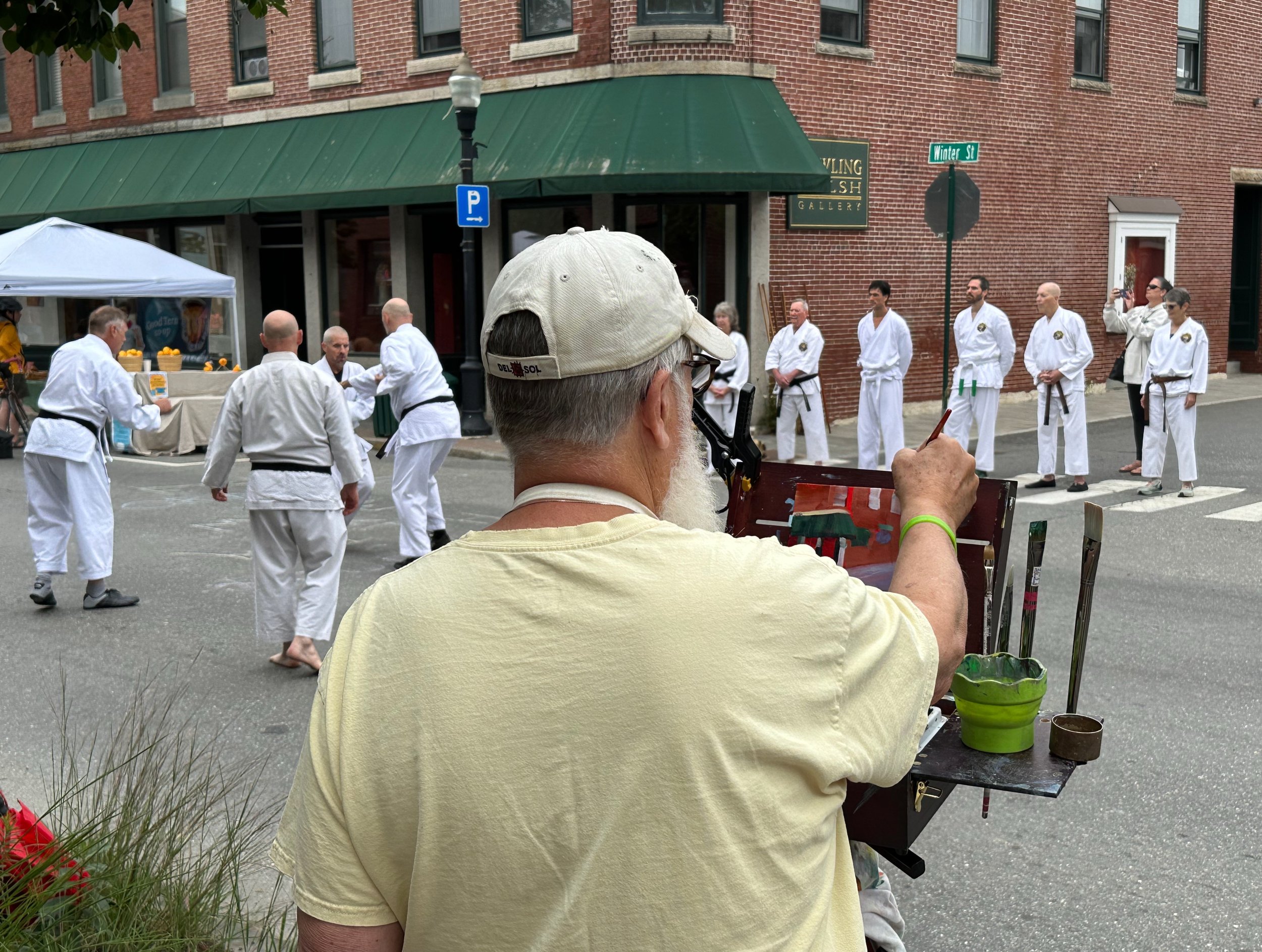 Sunday Stroll karate demo.jpeg