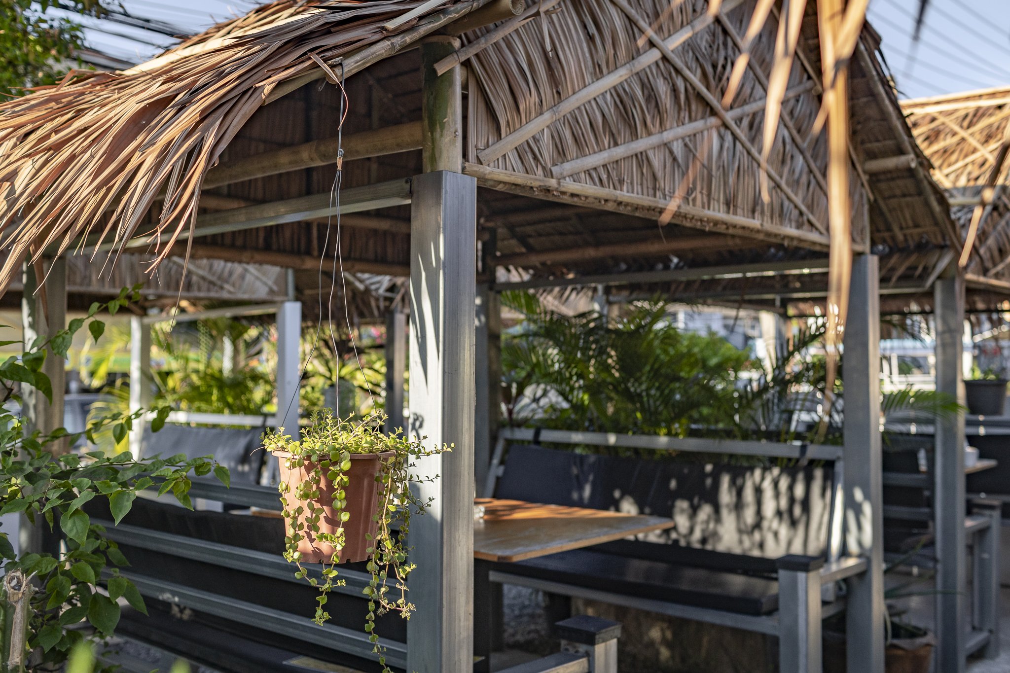 A tropical outdoor gazebo with a thatched roof, surrounded by plants and greenery, featuring a small hanging potted plant and wooden seating.