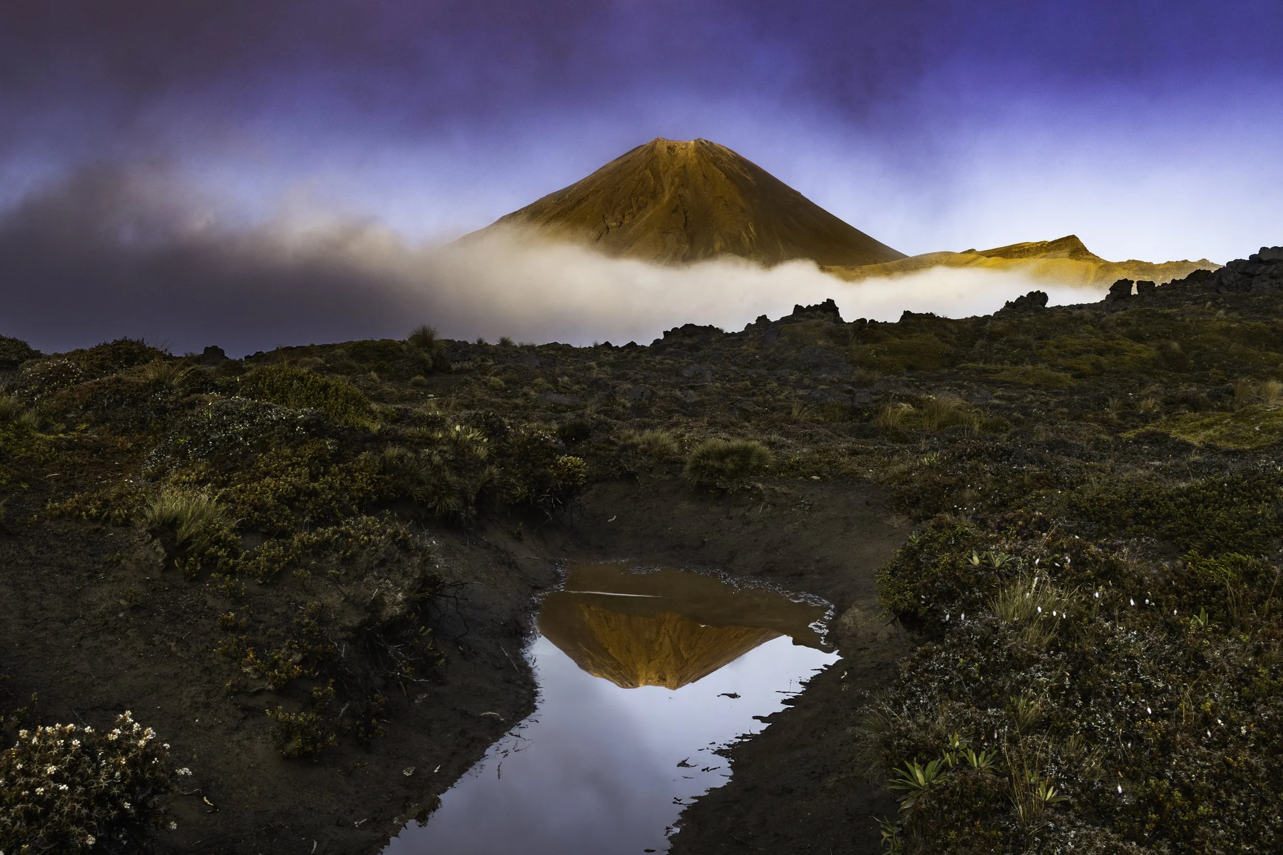 _N9A8527-Enhanced-NR-Edit 2kopie.jpg