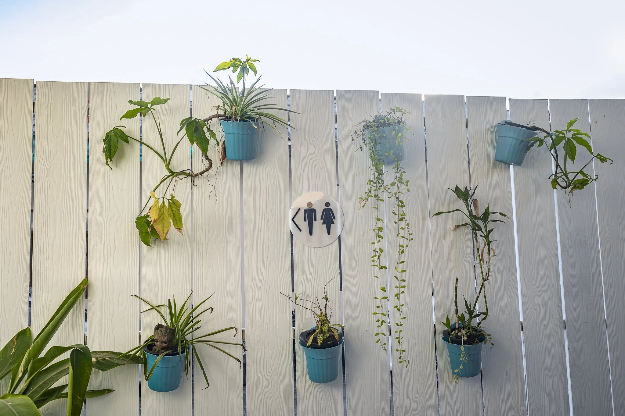 White wooden fence decorated with hanging potted plants and a bathroom sign in the center.