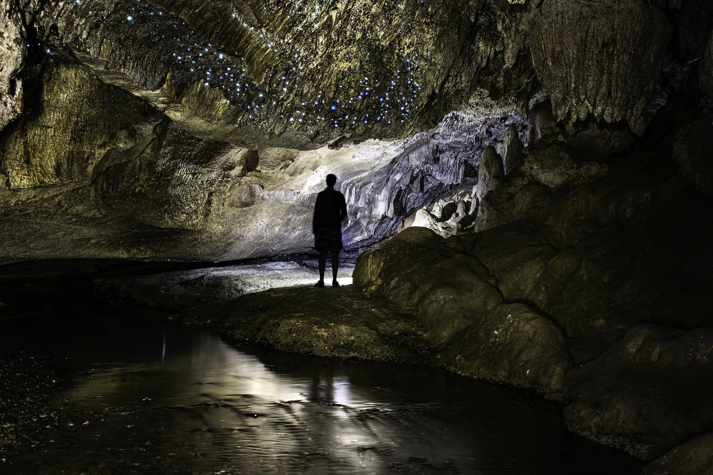 _N9A8660-Enhanced-NR-Edit tiskkopie.jpg