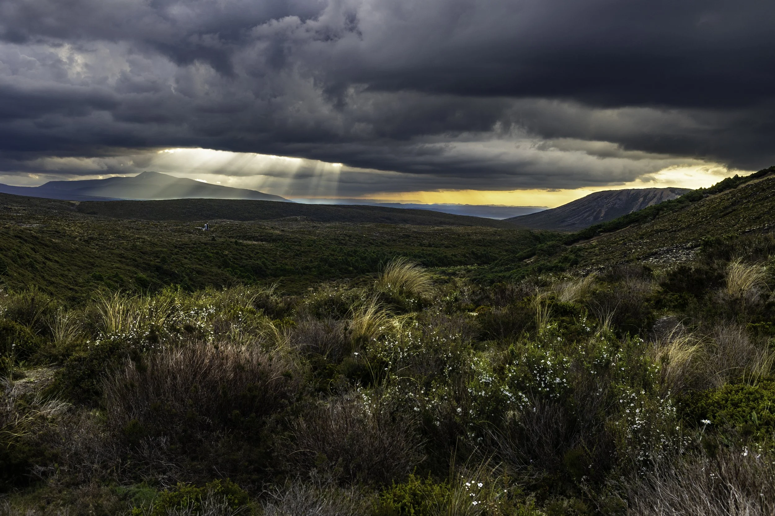 _N9A8269-Edit kopie.jpg