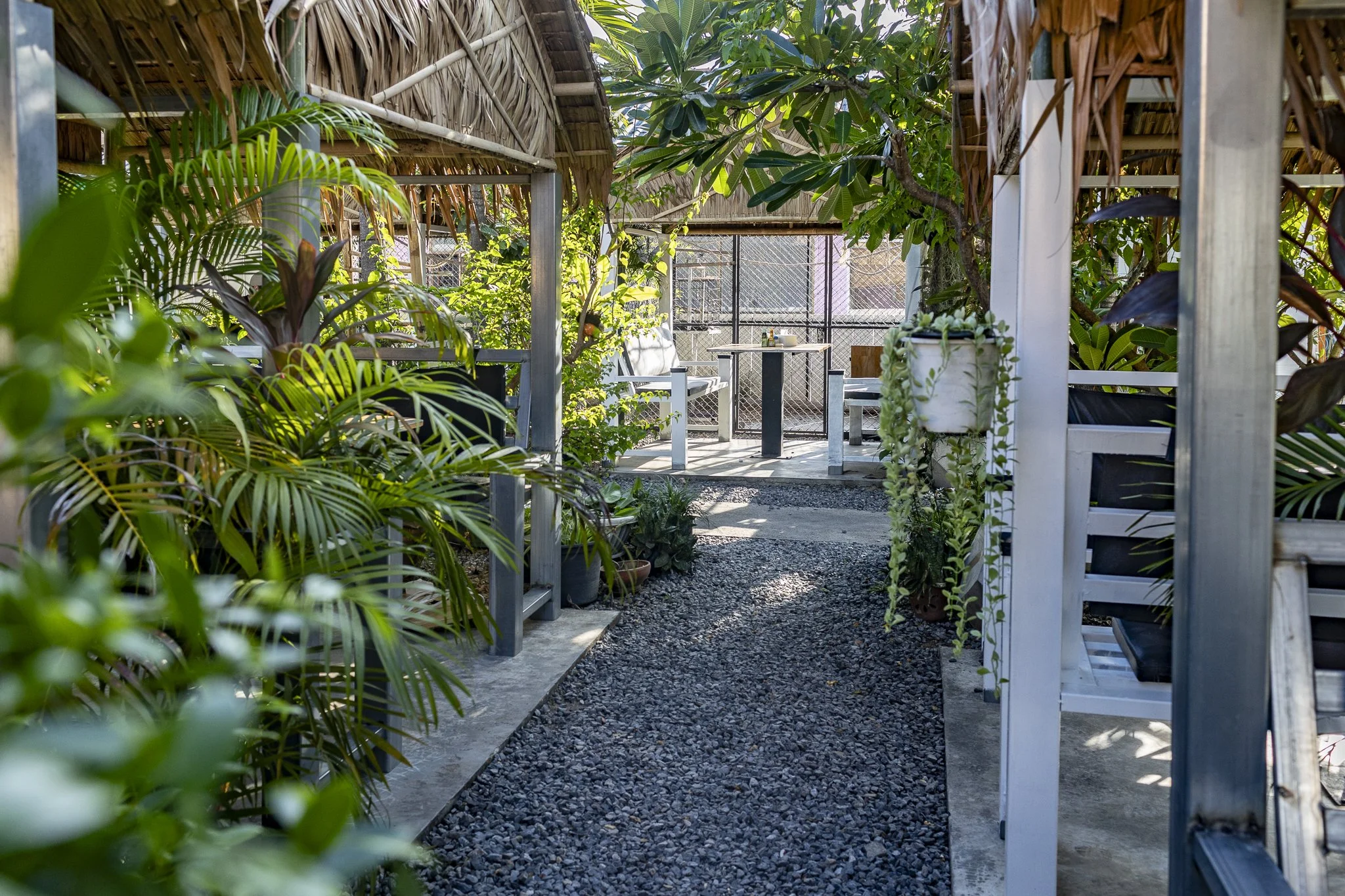 A cozy outdoor patio shaded with thatched roof and surrounded by green potted plants, with a gravel pathway leading to a table and chairs at the back.