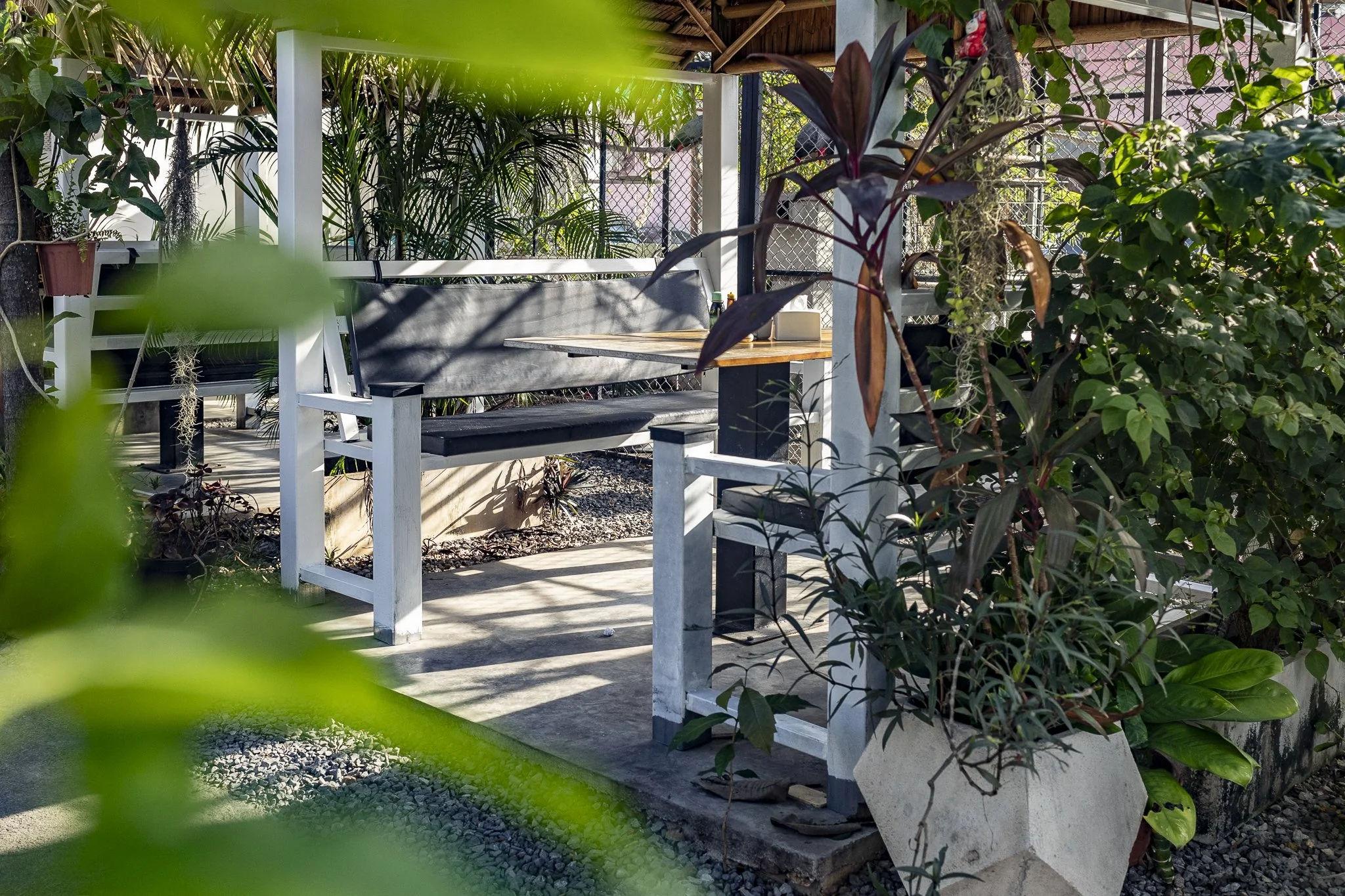 Outdoor seating area with a white wooden bench with dark cushions, a small wooden table, surrounded by lush green plants and trees, with a chain-link fence in the background.