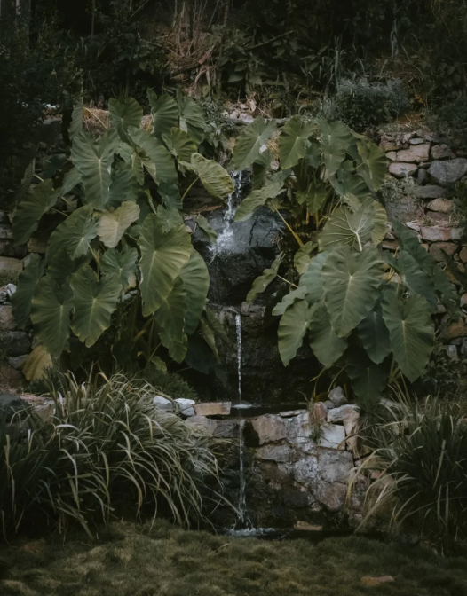 Screenshot 2026-04-29 at 3.31.45 PM.png