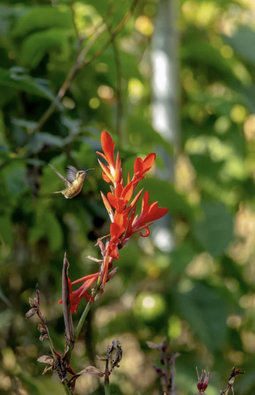 Screenshot 2026-04-29 at 3.32.16 PM.png