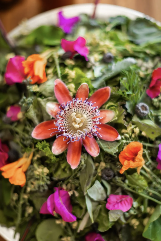 Screenshot 2026-04-29 at 3.32.40 PM.png