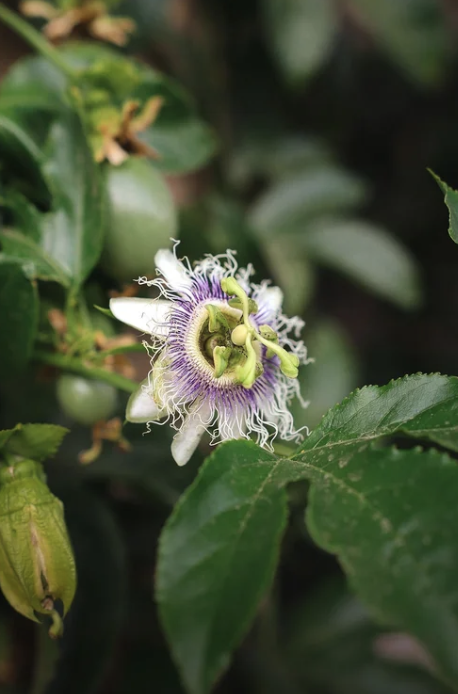 Screenshot 2026-04-29 at 3.32.02 PM.png