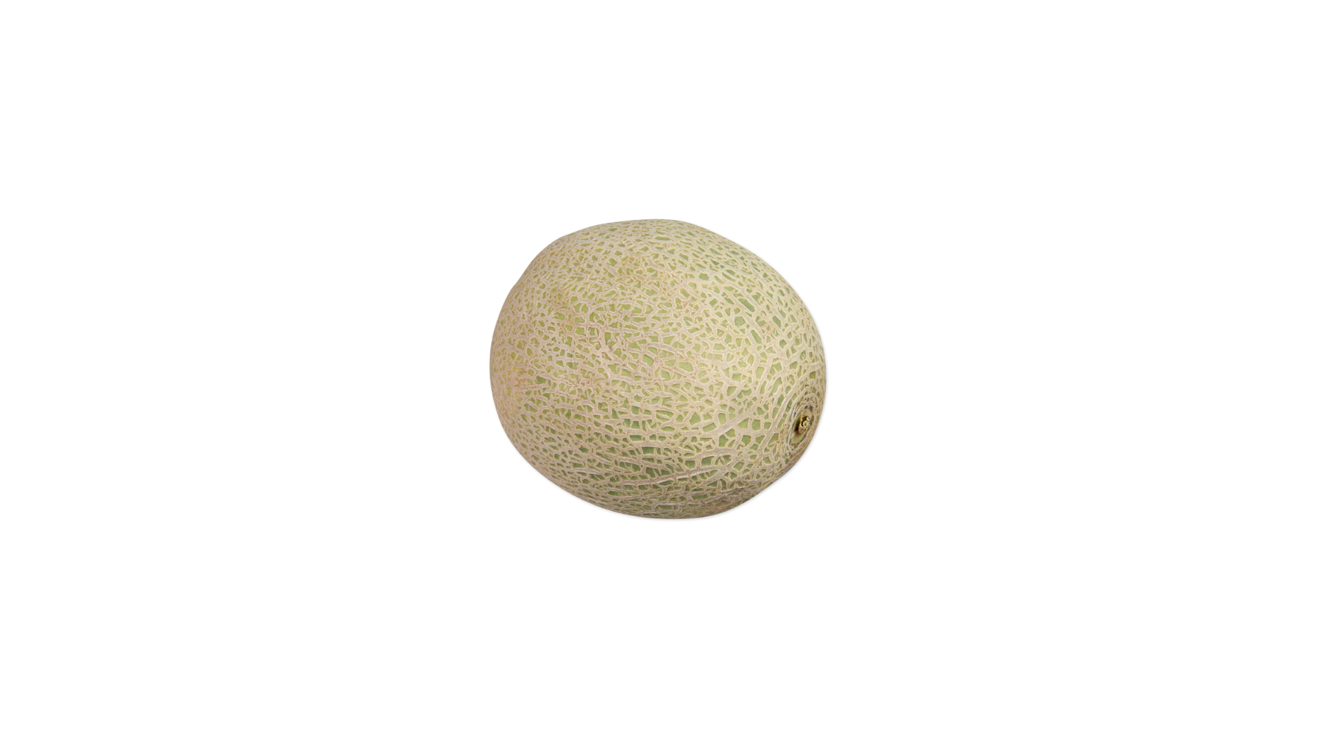 Cantaloupe