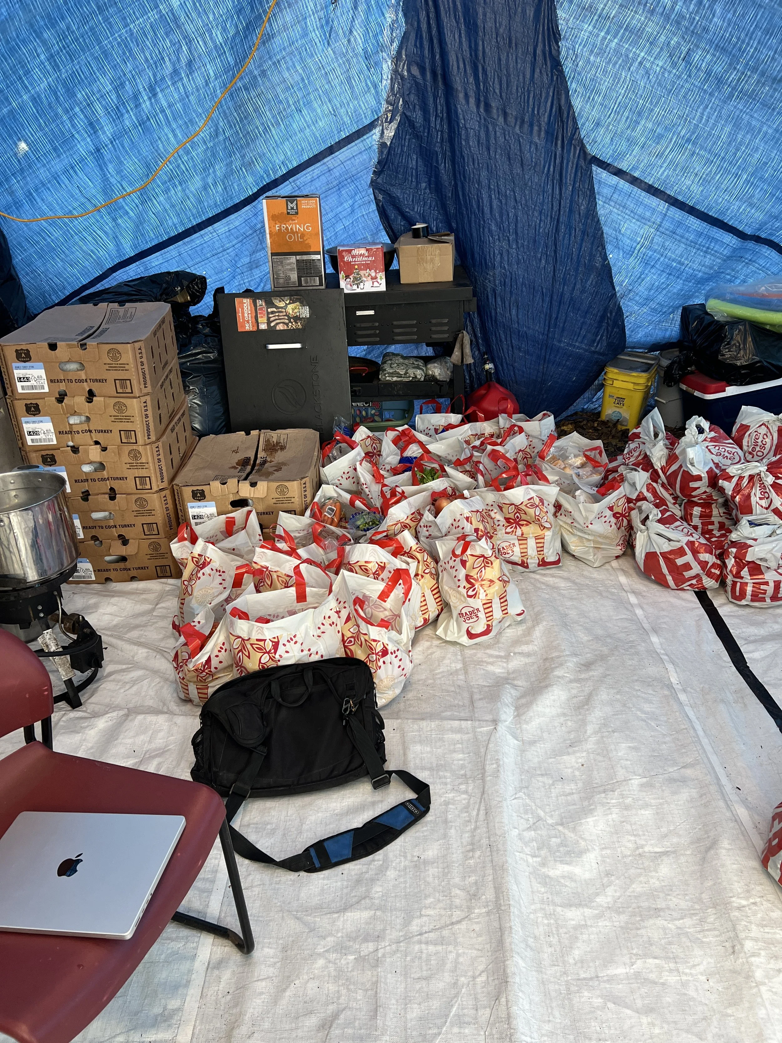 All the supplies, bags of veggies, bags of sides, and a turkey from those boxes.