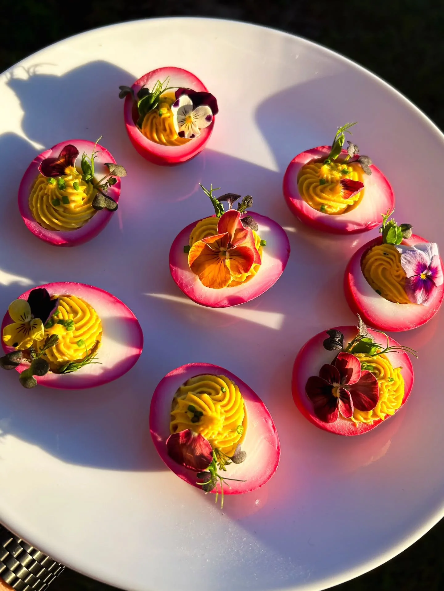 A huevo! 🪺🏵️

Family, food, and a blessed holiday gathering 💫

This weekend we spent some time with our loved ones in an early Christmas celebration, so we brought a little piece of the farm to the table 🌱
Beet-pickled deviled eggs topped with ou