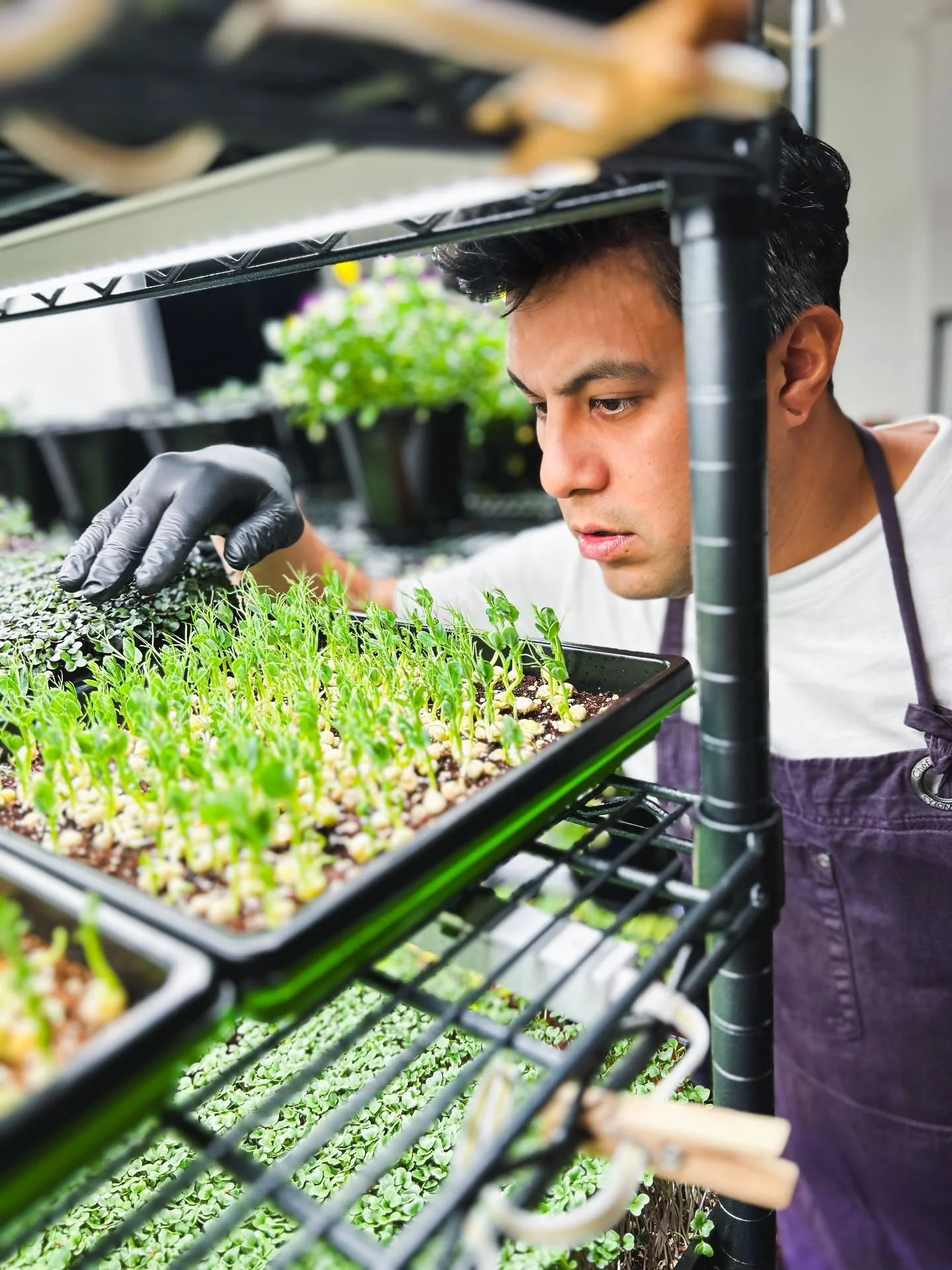 Quick Tour @earthflavors7 🌱

Hello, my name is Ivan, the hands and mind behind Earth Flavors.

Here we grow color, texture, and inspiration.
Every idea starts as a seed, passion keeps the process steady, and consistency is what shapes the quality ou