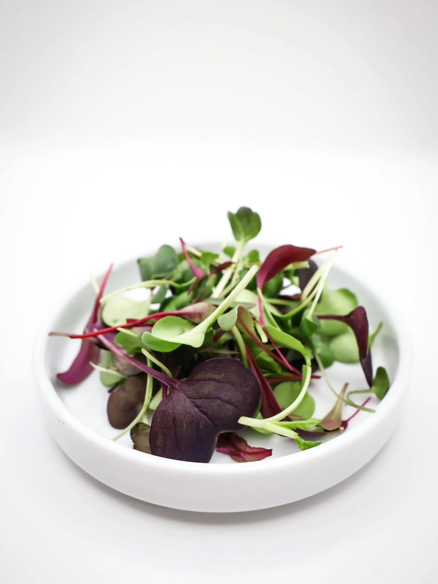 The Salad Mix! 🥗🌱

All-time favorite! One of our most nutrient complete blends, visually appealing and with different textures. A lively mix of greens purple and reds combining smooth leaves with tender stems with a subtle bite. Its layered texture