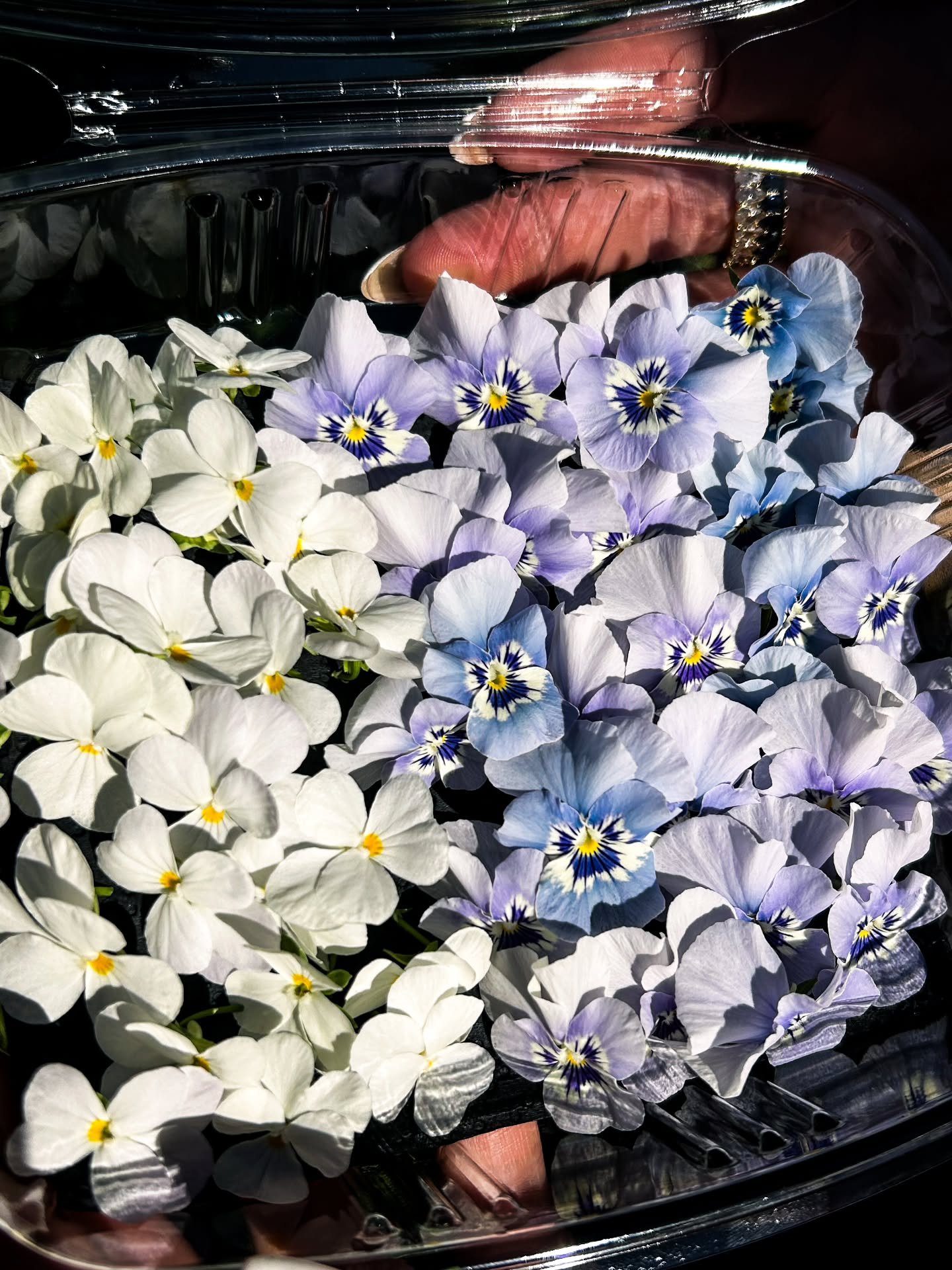 1.27.2026 🥂
We had the honor of being part of a magnificent celebration of love 💍✨
Our fresh viola edible flowers were featured on this stunning wedding cake by @cremedelacocoa a true work of art! 
A sweet, unforgettable centerpiece for Tizzy &amp;