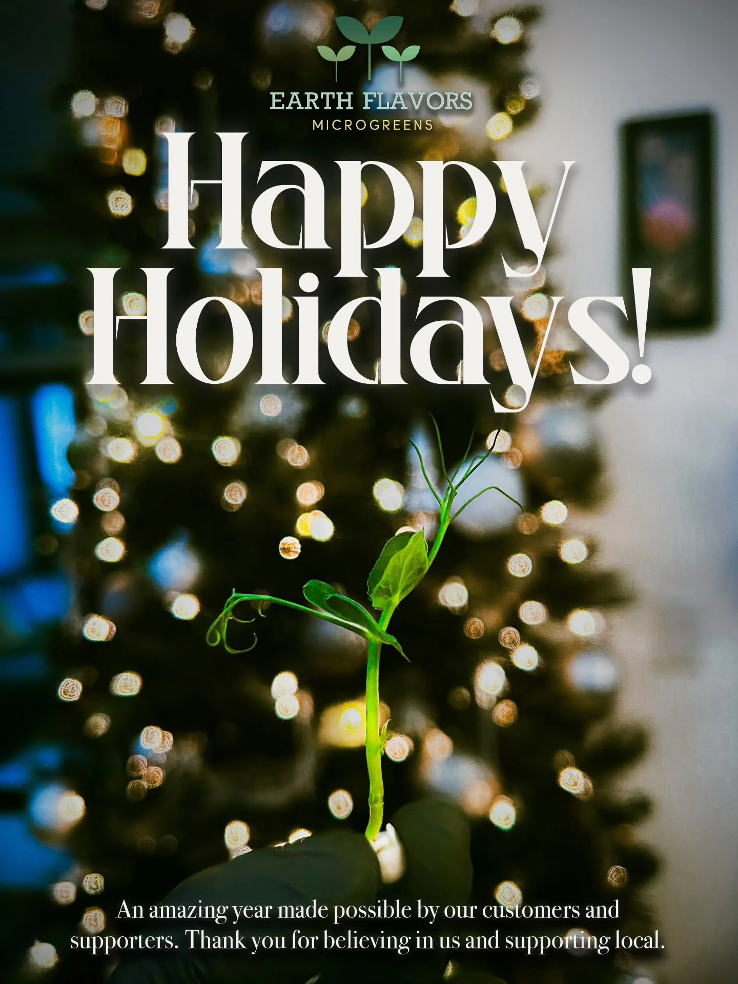✨ Merry Christmas from our farm to your table ✨🎄

Thank you to all our customers, chefs, friends, and supporters for an amazing year. Your support keeps us growing, literally 🌱
Wishing you love, peace, and great food this holiday season!

#happyhol