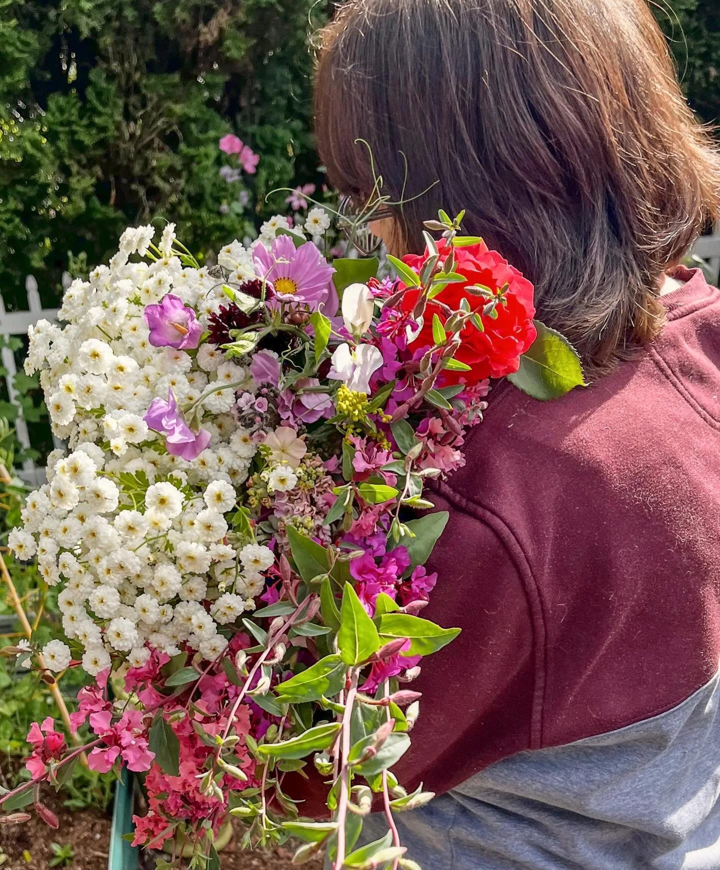 Benefits of supporting a small micro flower farm like ours 🫶🏻

✨You receive flowers that have been lovingly grown from seed to bloom, and cut as fresh as possible
✨You receive flowers grown just for you for your wedding or special event. Along with