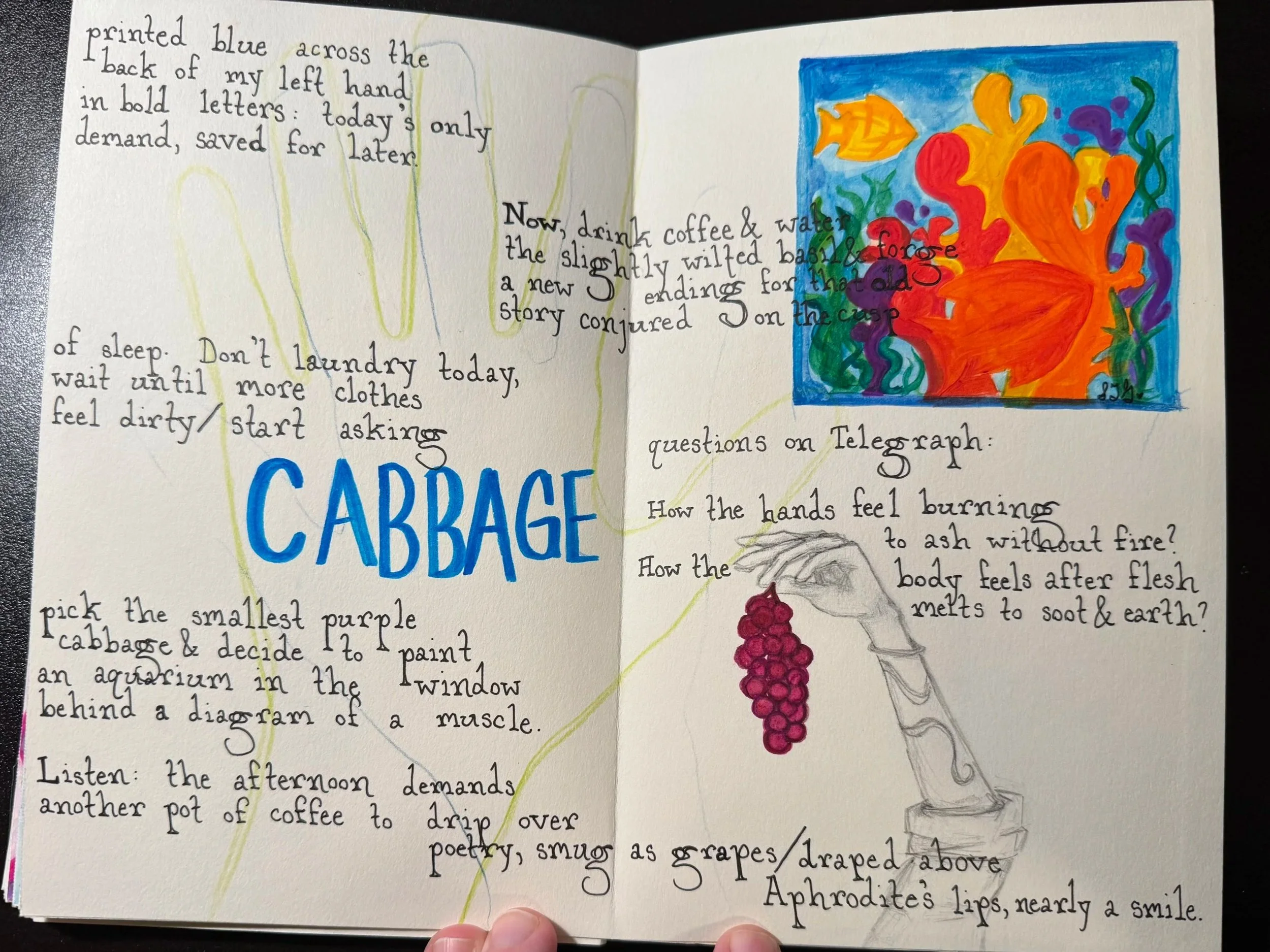 cabbage.jpg