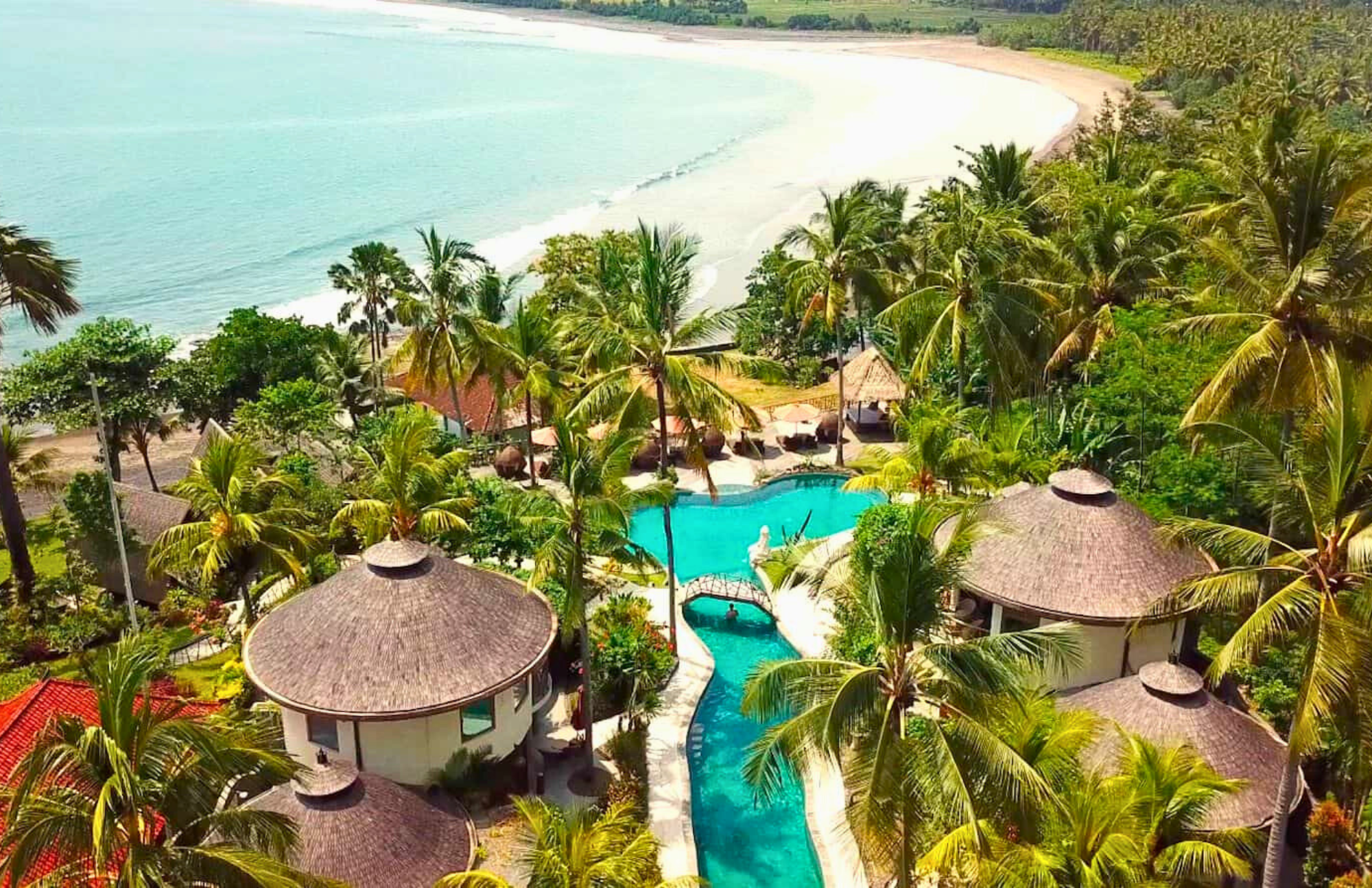 REWILD | find your calm | reclaim your clarity | rebuild your confidence oceanside in Bali