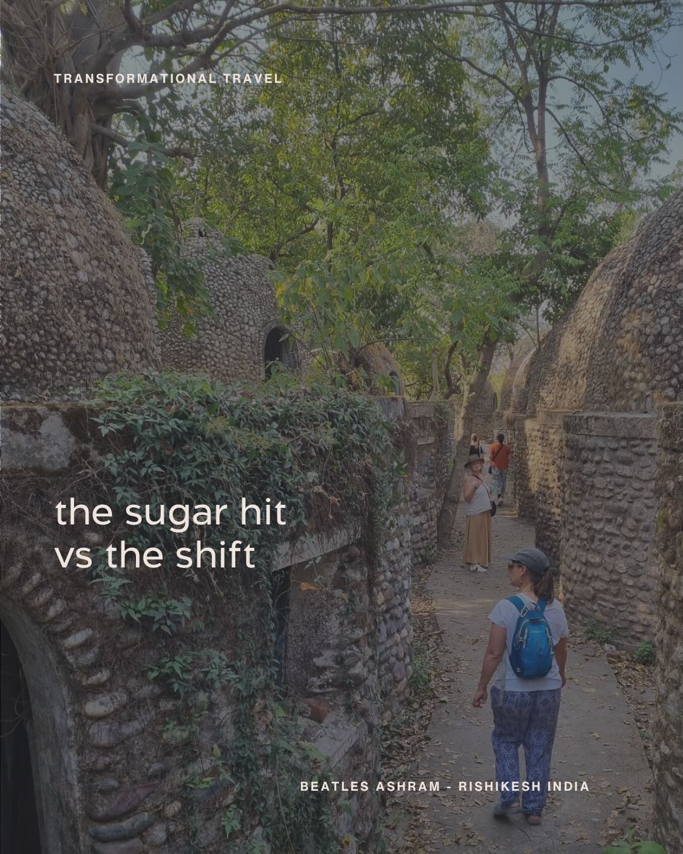 most people know the sugar hit.
feels great.
doesn&rsquo;t last.

the shift is different.
quieter.
longer-lasting.

and it changes what you choose next.

transformational travel.
there&rsquo;s a journey for every season.

www.jodireilly.com.au