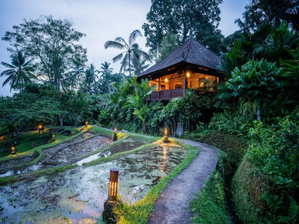 Jungle Eco Retreat - Villa View .jpg