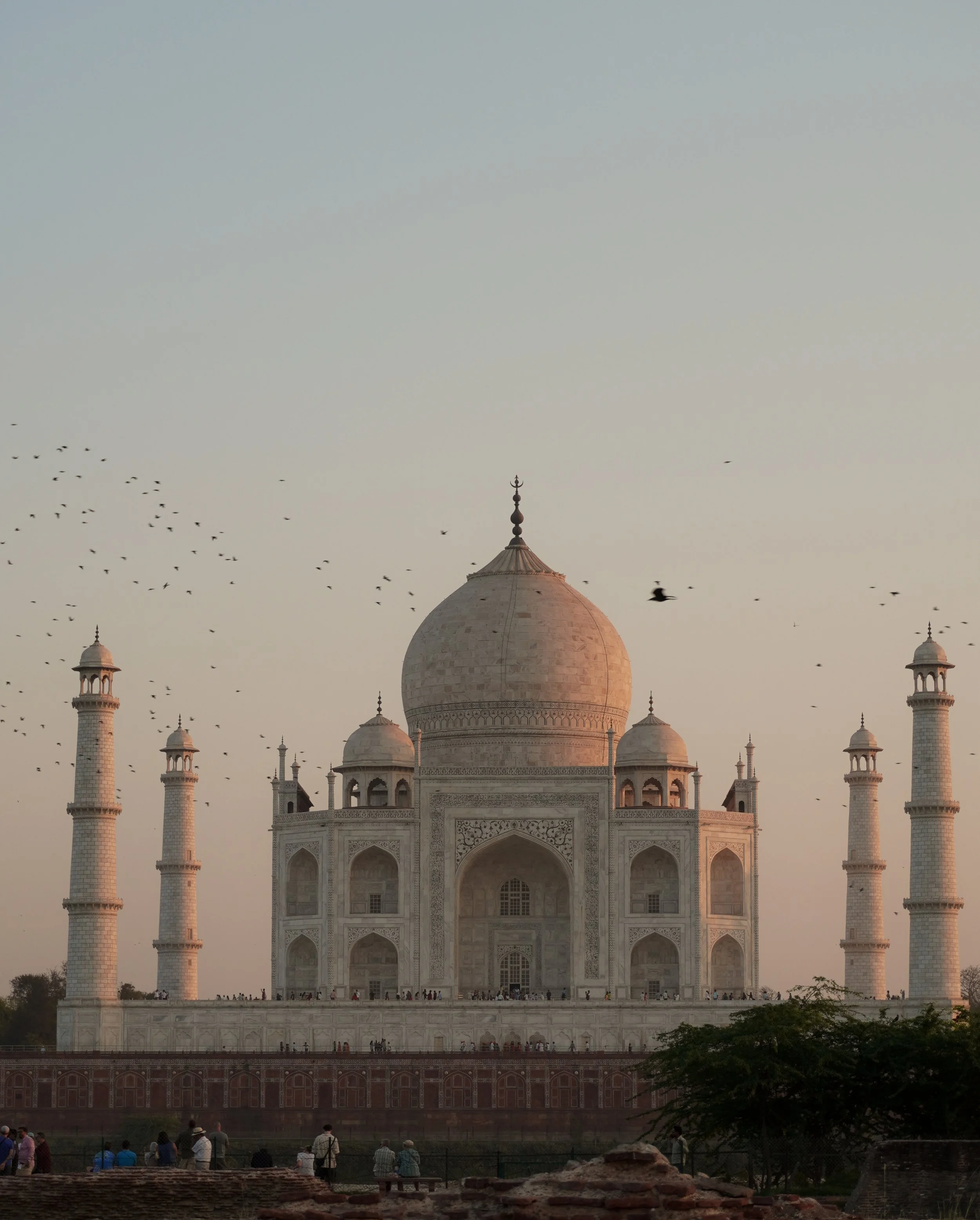 why travel to india? 10 reasons to experience india for yourself.