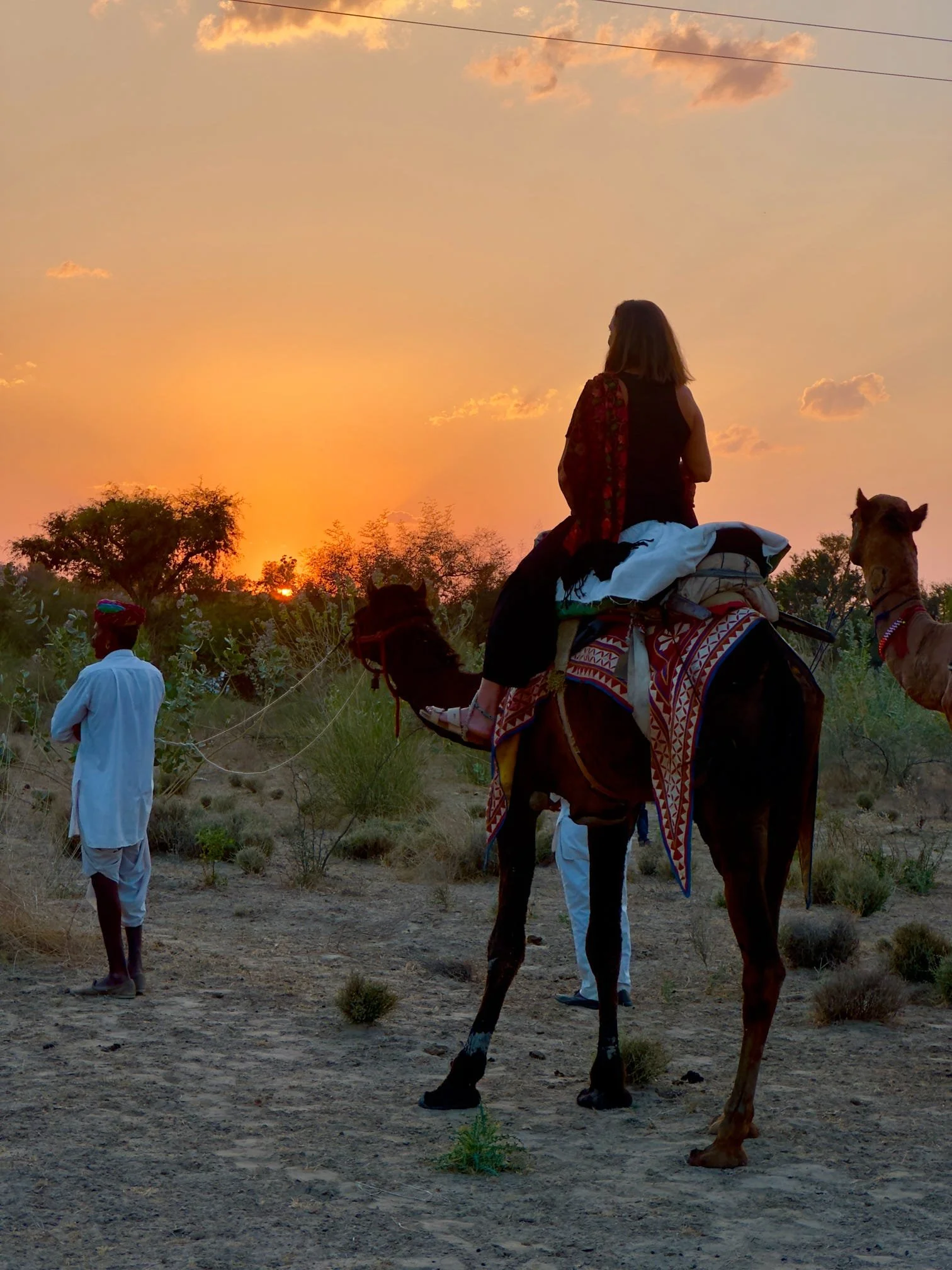 discover india with jodi reilly, fully organised retreats and journeys