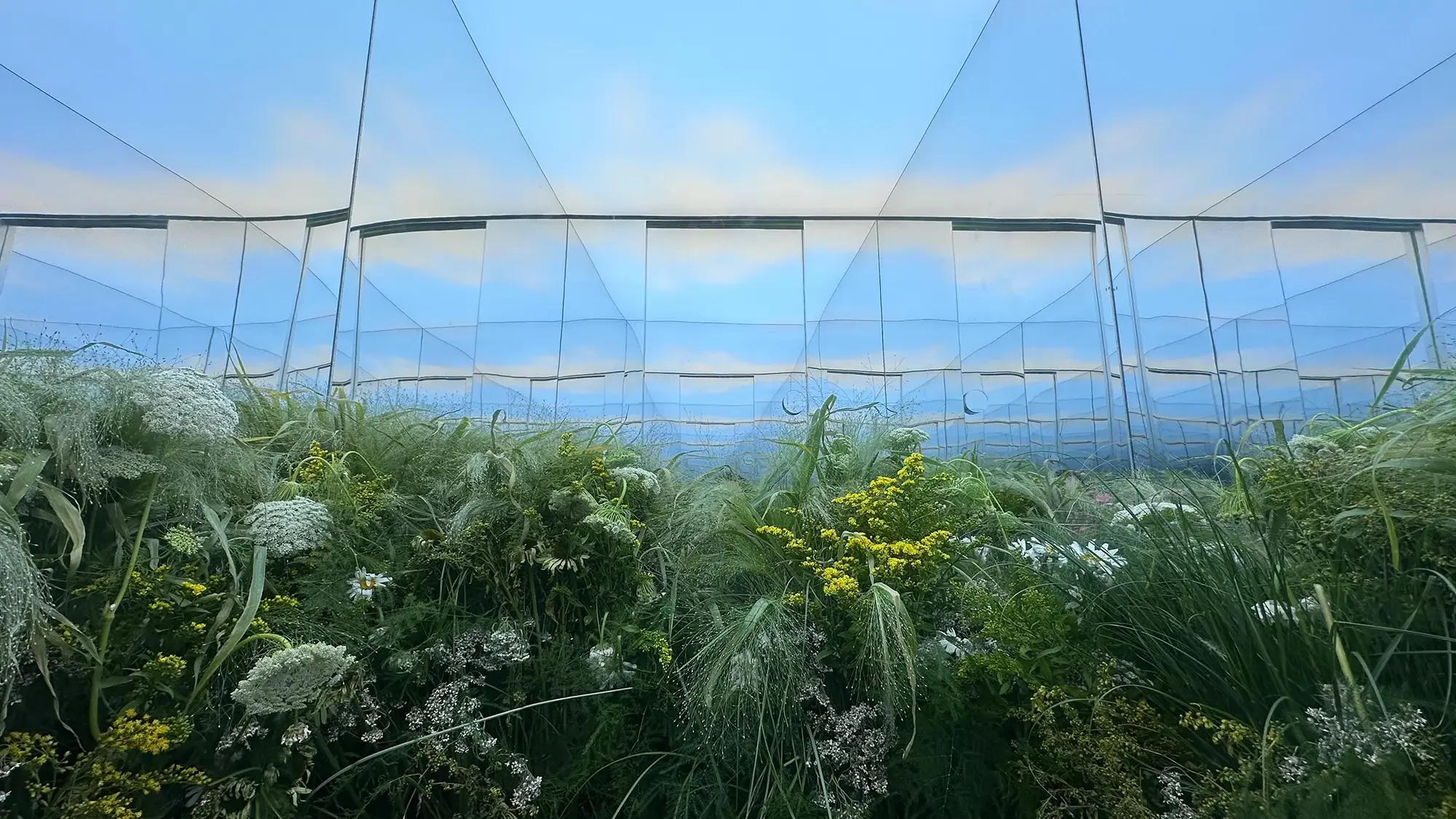 Marc Jacobs, Daisy Wild, Infinity Mirror