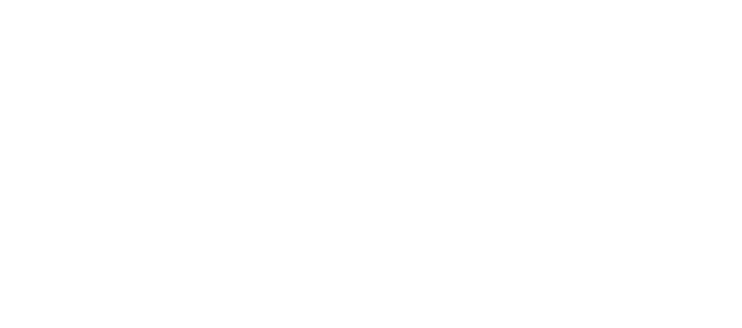 Hot Wheels Logo white