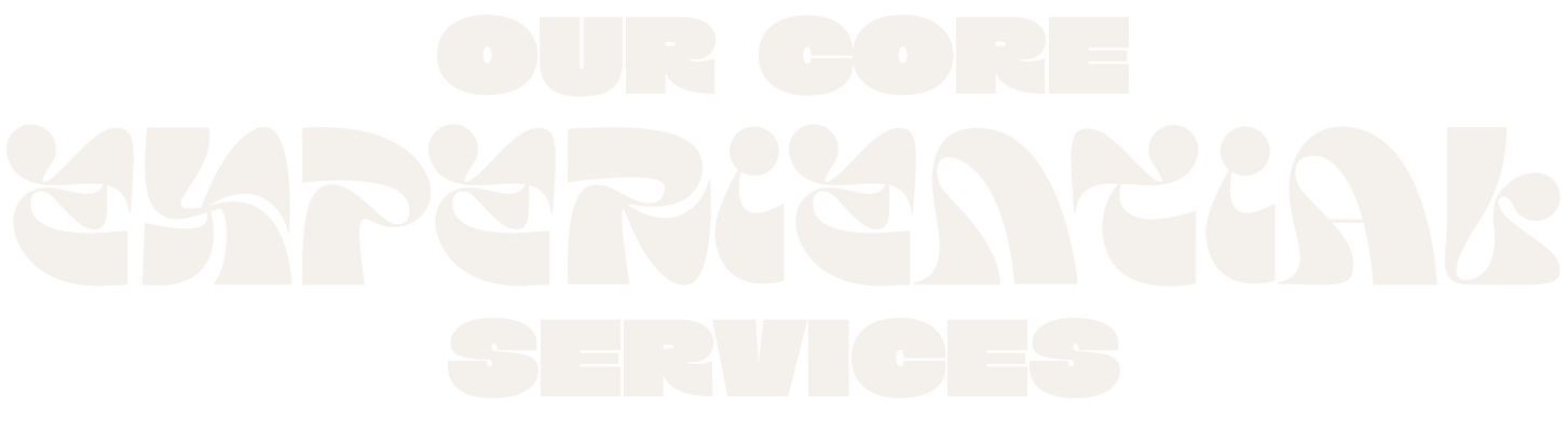 Our Core Experiential Services Graphic