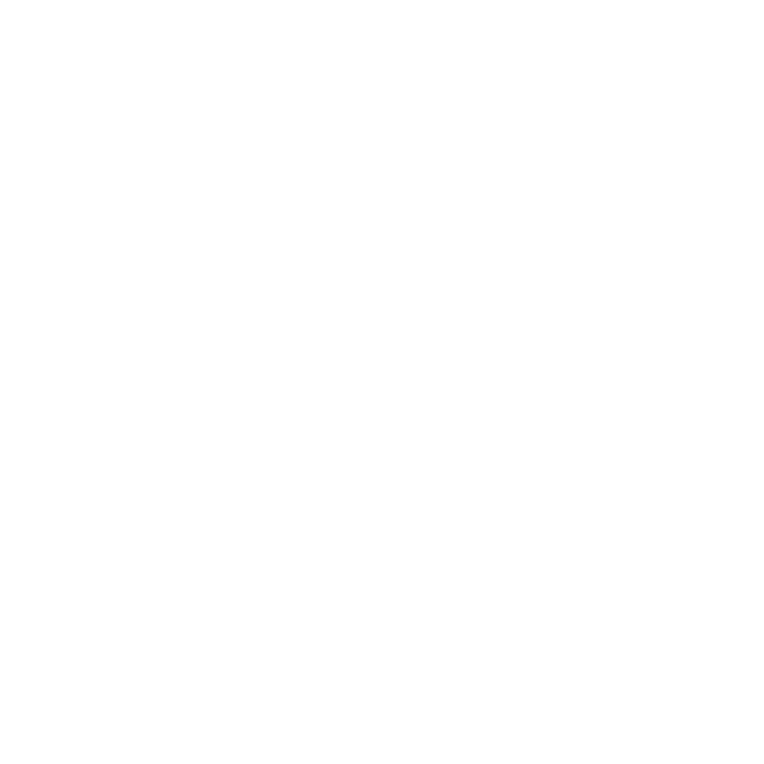 Palmers Logo White