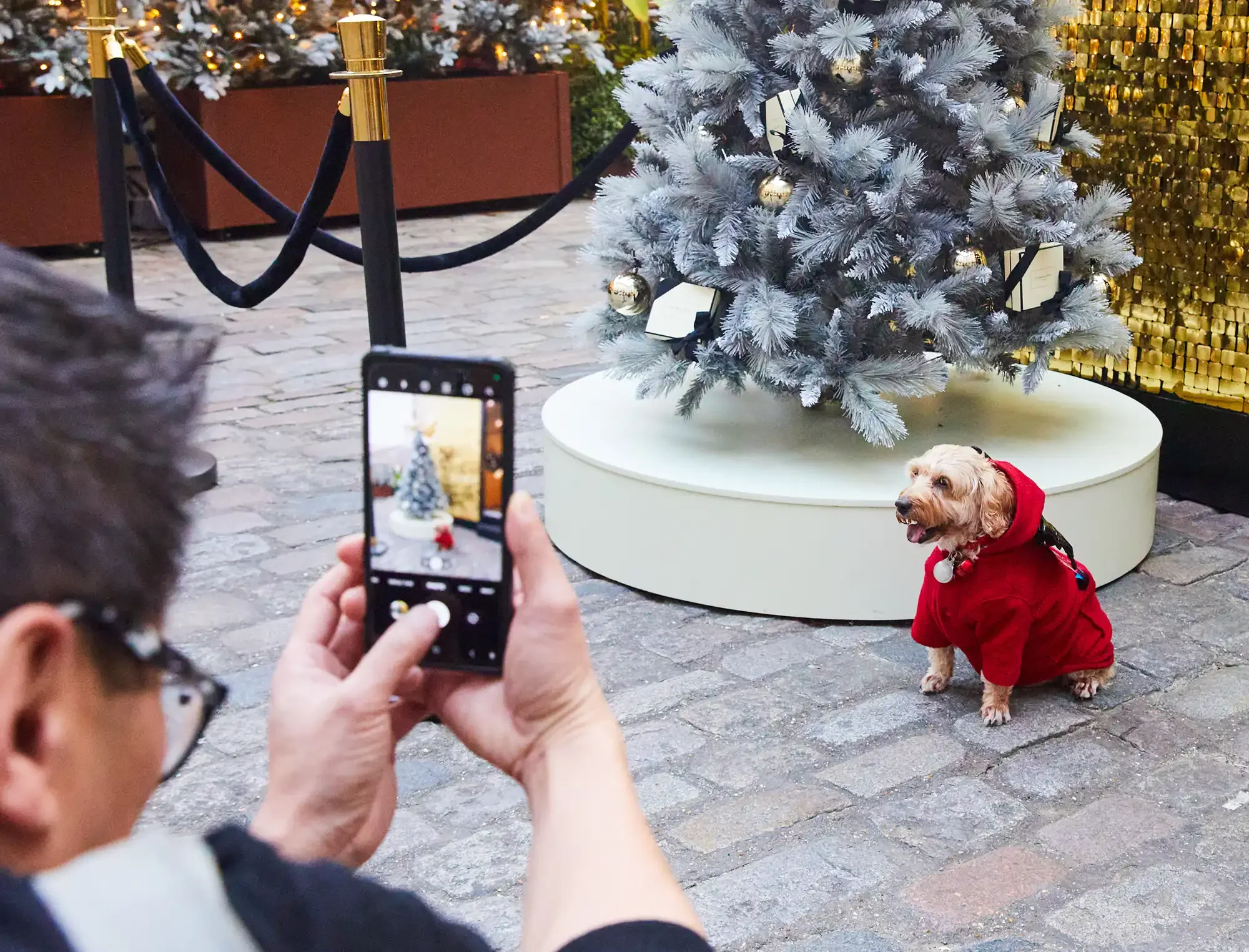 Jo Malone London, The Christmas Special Pop-up, Top UK Experiential Marketing Agency - Entrance Christmas Tree and dog