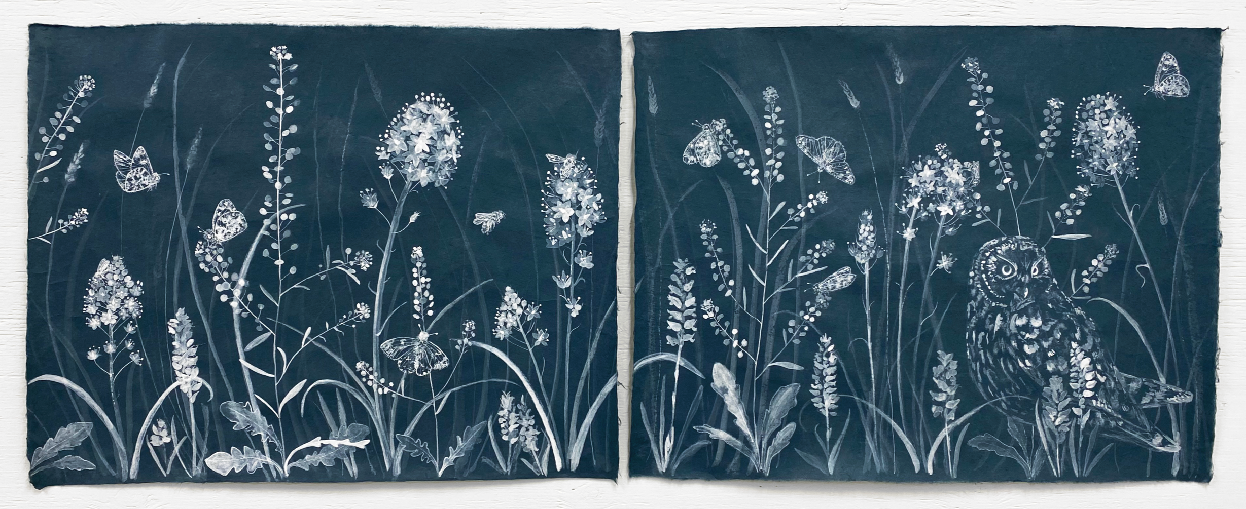 prairie+dune+%21%21%21%21%21%21%21.png