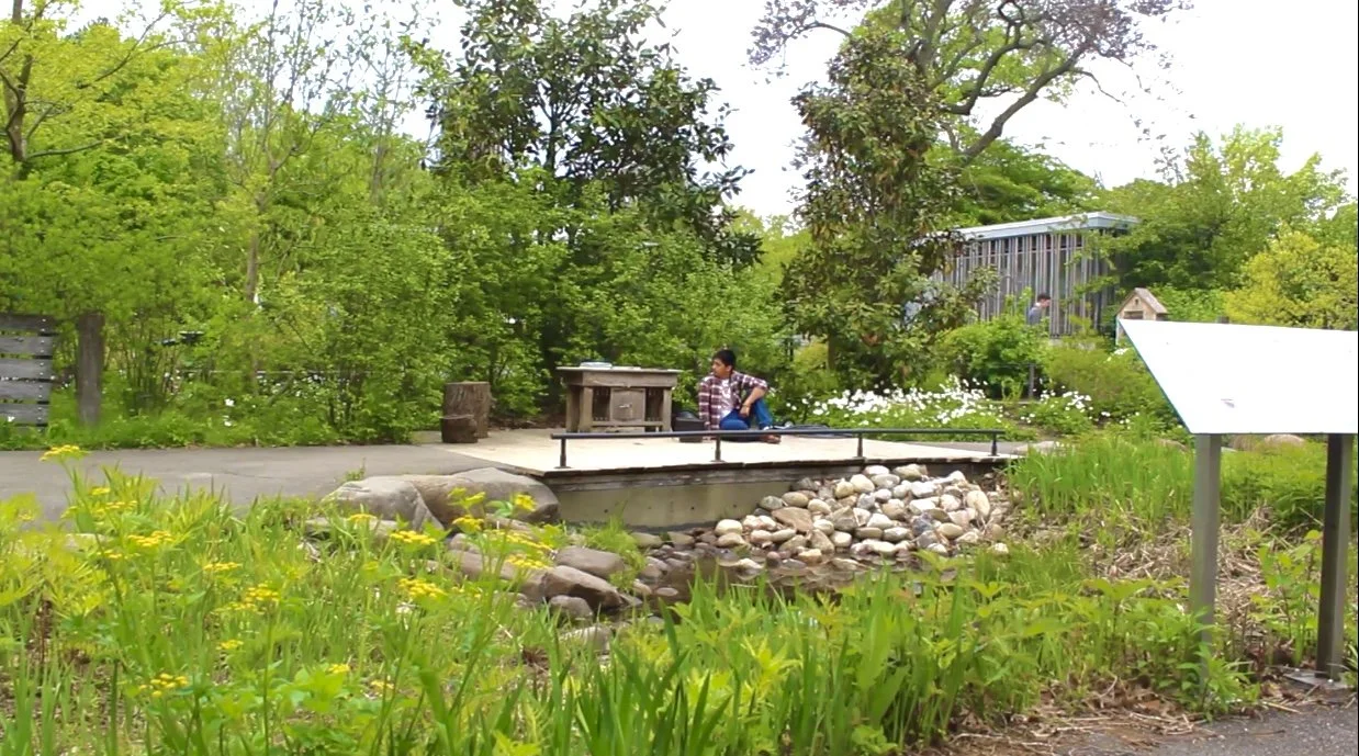 Brooklyn Botanical Garden 7.jpg