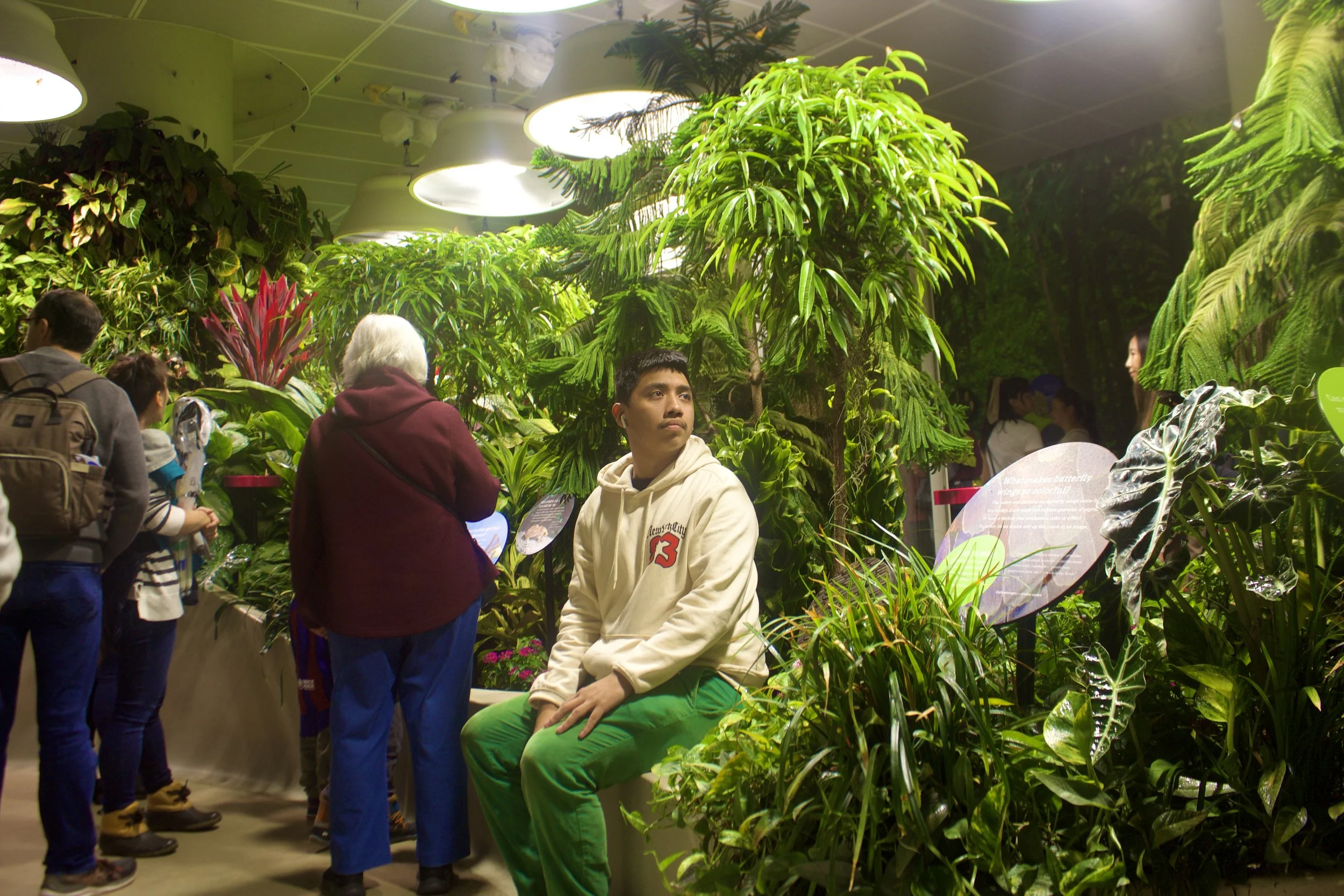 American Museum of Natural History.jpg