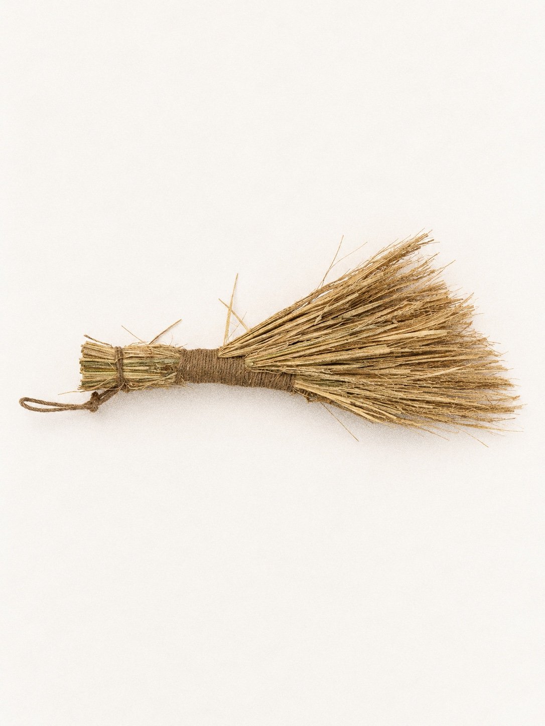 brush 2.jpg