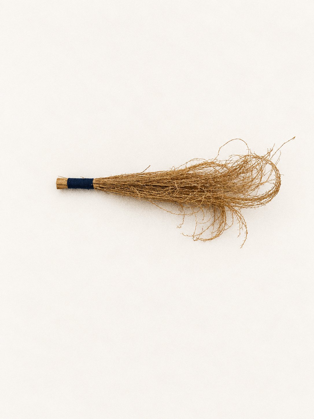 brush 3.jpg