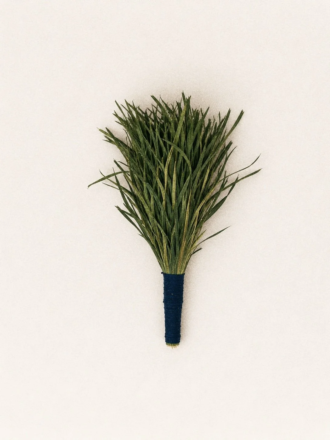 brush 6.jpg