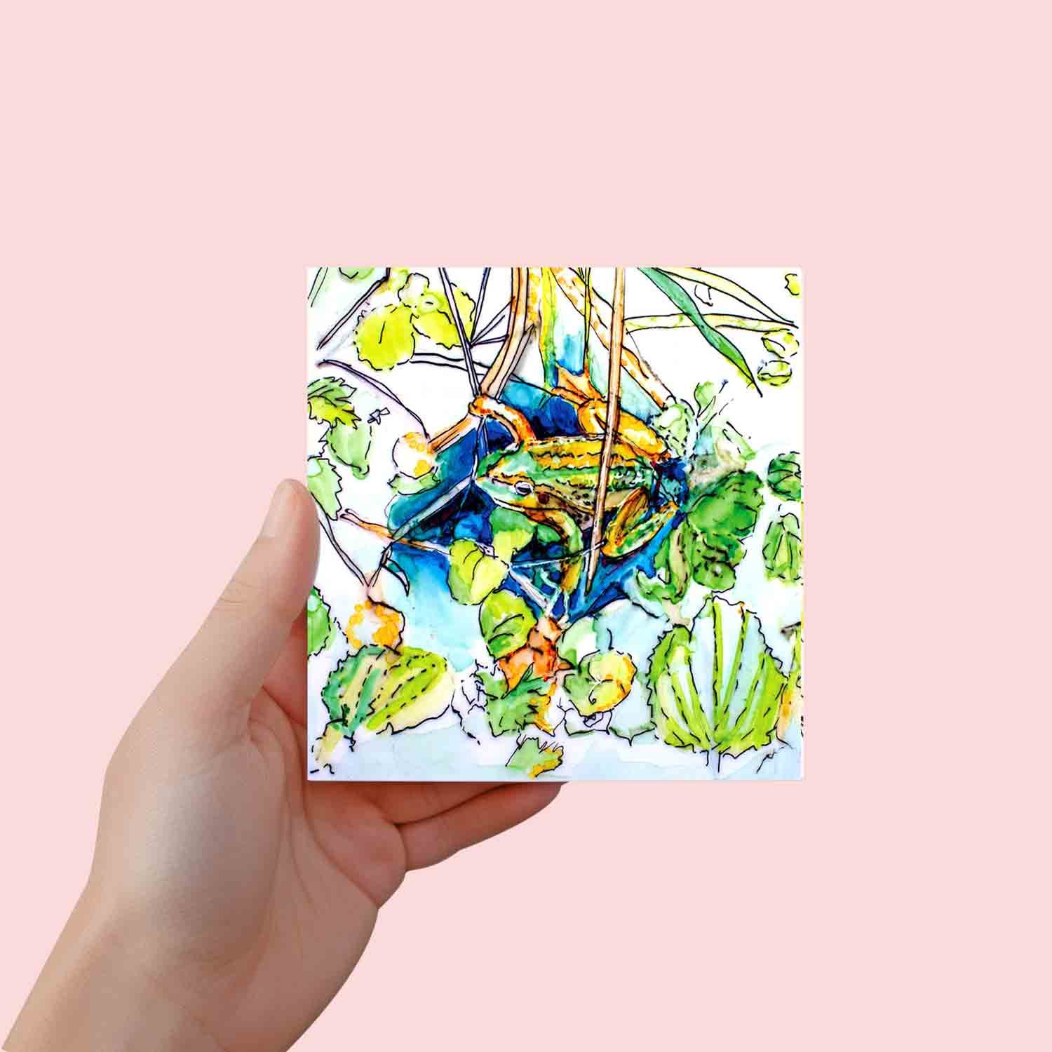 Frog-In-Paddock.jpg