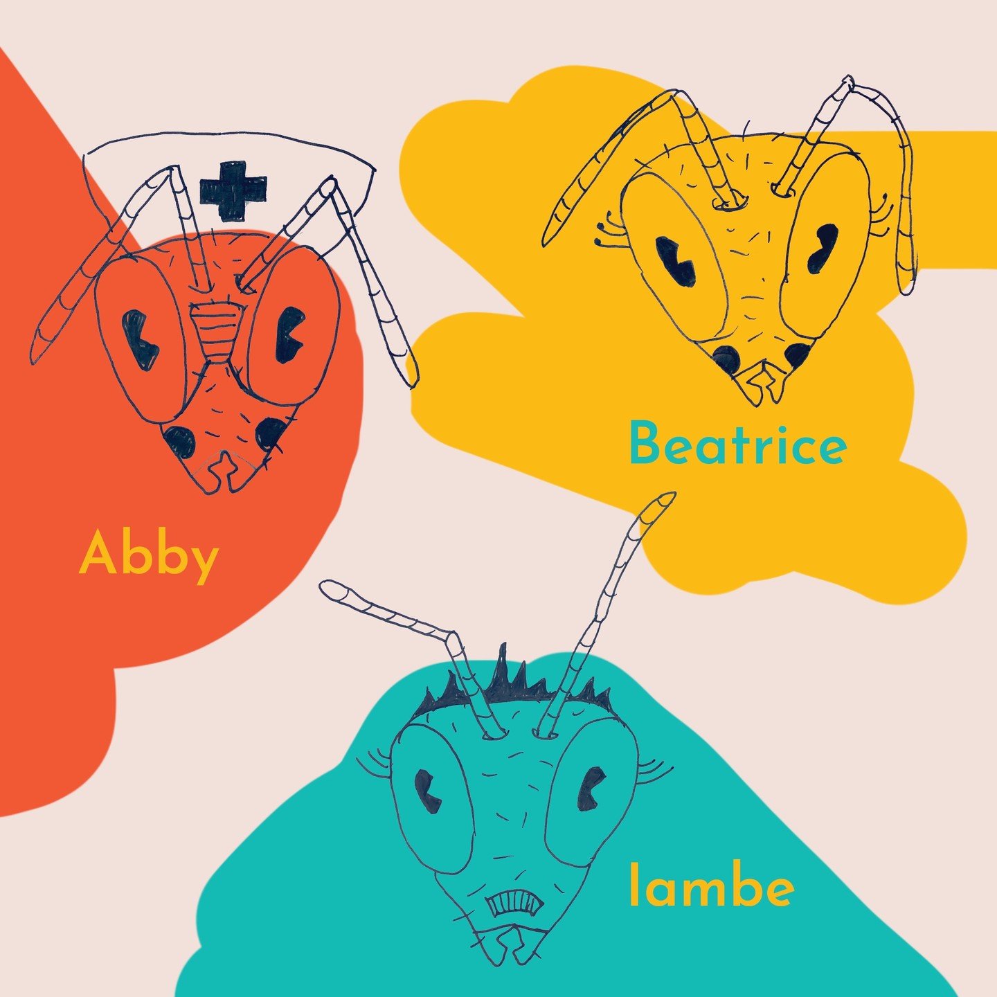 Meet Abby, Beatrice, and Iambe honey bee characters in our &lsquo;Dancing bees&rsquo; children&rsquo;s book.
🐝 🐝 🐝 🐝 🐝  #characterdesign #beepassion #pollinator #womenbeekeepers #beekeepers #beekeeping #beesofinstagram #savethebees  #bees #loveb