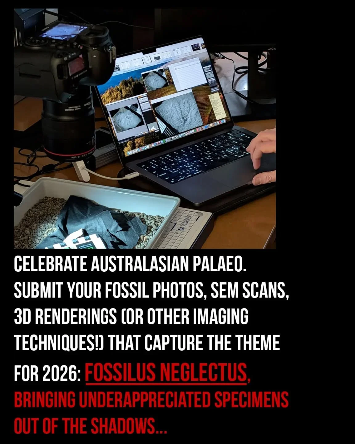 It's on again!!! The theme for the Aus Palaeos Fossil Photo Comp 2026 is (*drumroll*) "Fossilus neglectus", bringing underappreciated specimens out of the shadows. This is an opportunity to celebrate those fossils that, for whatever reason,