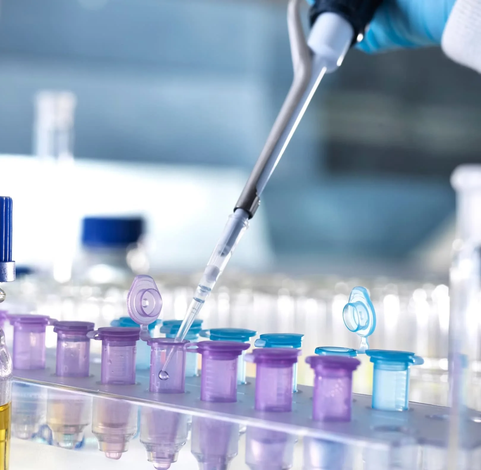 Lab setting with pipette and microcentrifuge tubes in a tray