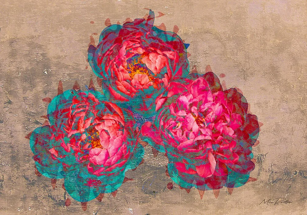 Cirbbean Roses, PIA BRITTON .jpg