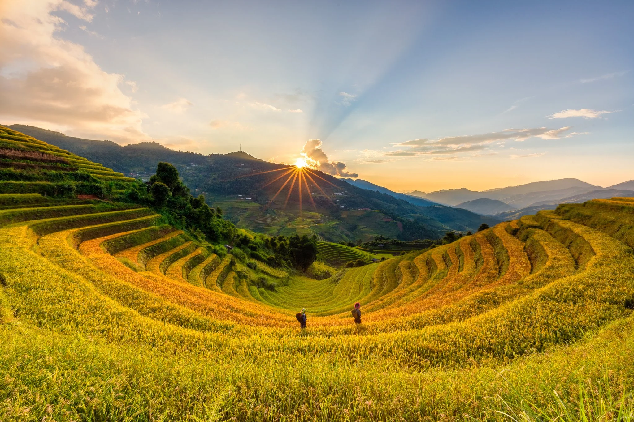 AWFH, Sunrice over Ricefileds, Tomas DINH ,75 x 50 cm, plexiglas,.jpg
