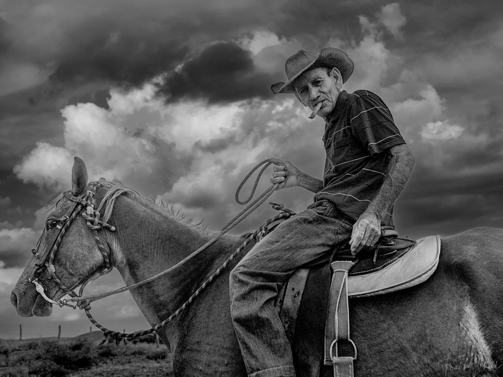 GAUCHO, FRANK SCHEIL.jpeg