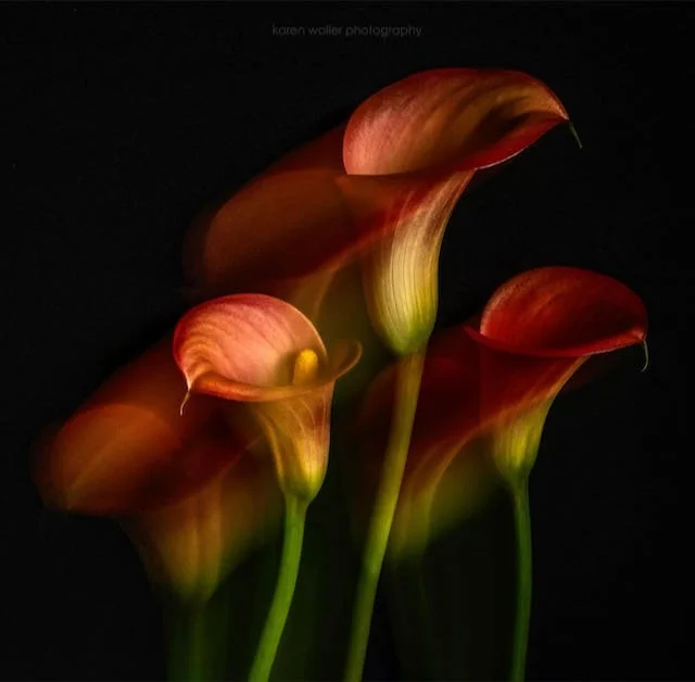 FLOW, KAREN WALLER.jpeg