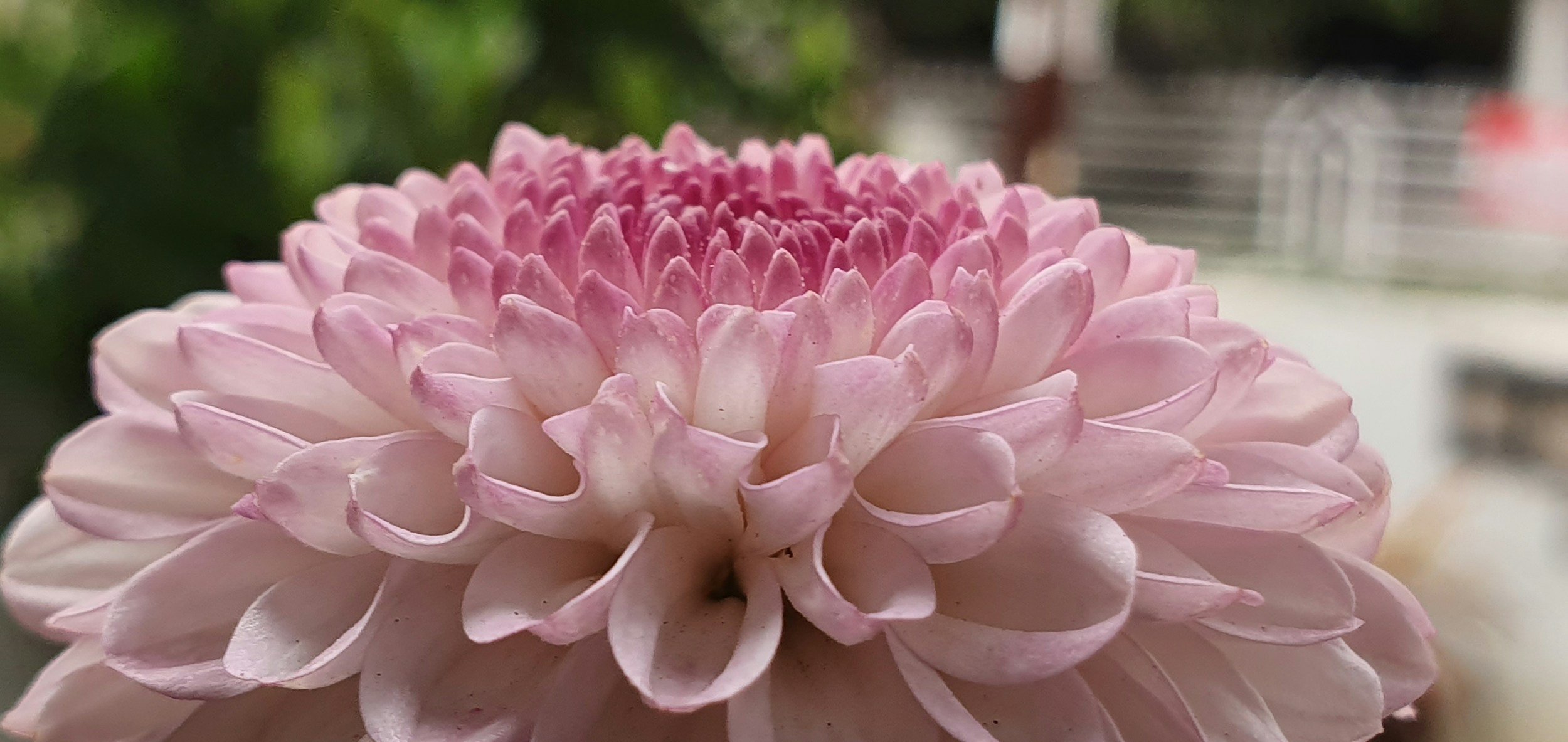 10 Simple Acts of Kindness: Practicing Gratitude and Positive Thinking to Live a Happier Life