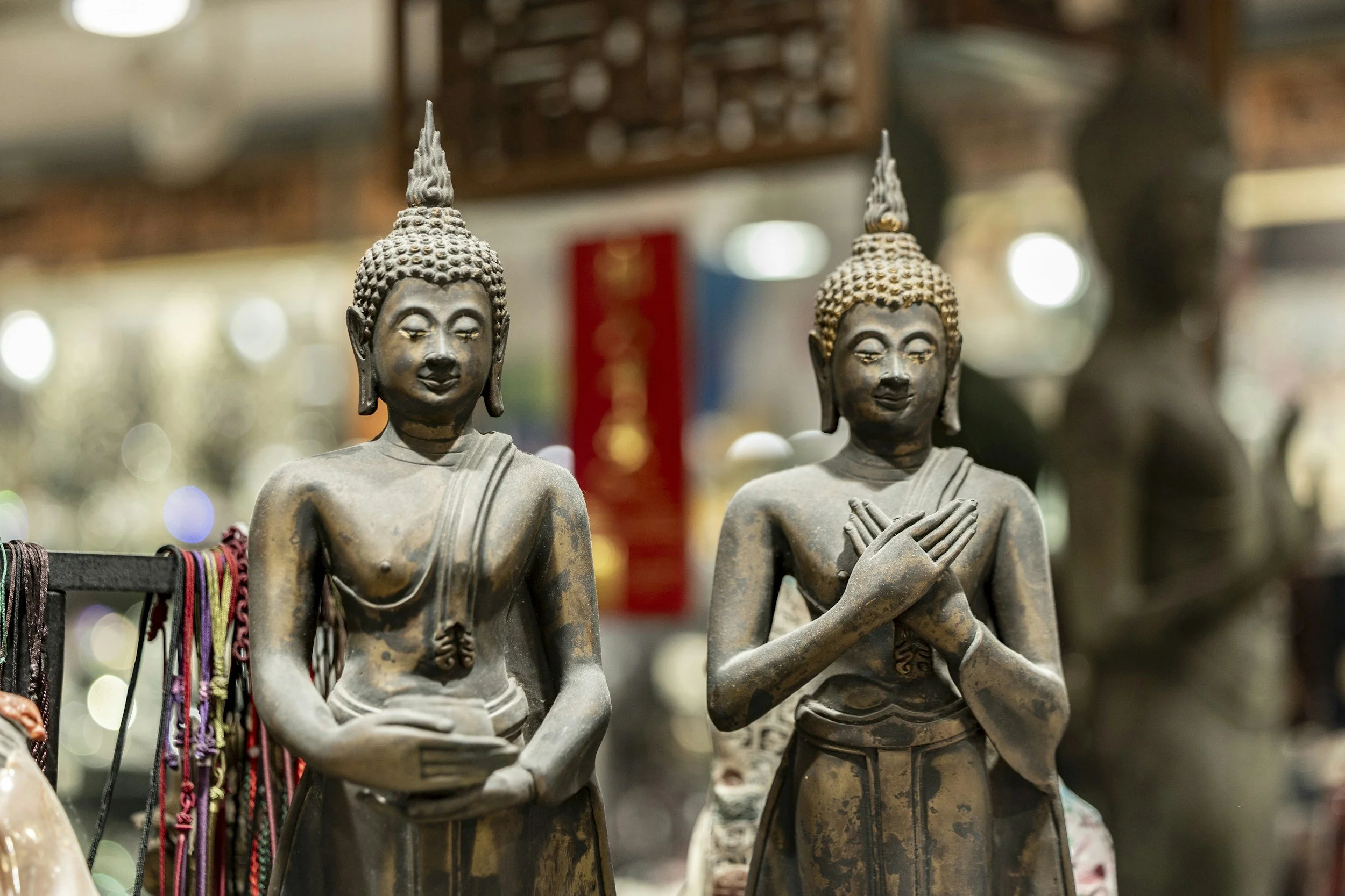 Read for Every Modern Soul Seeking Enlightenment