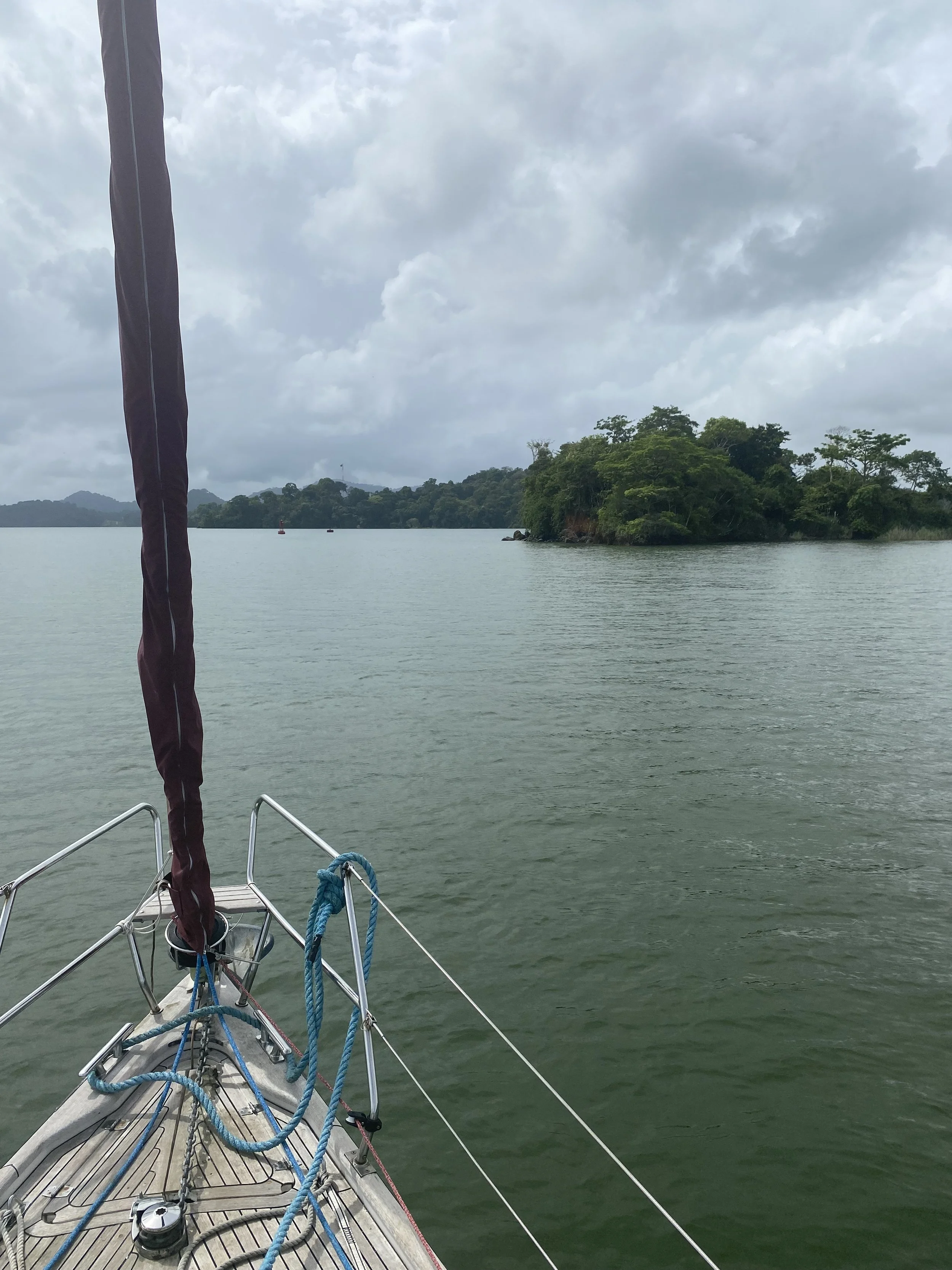Little island in Lake Gatún